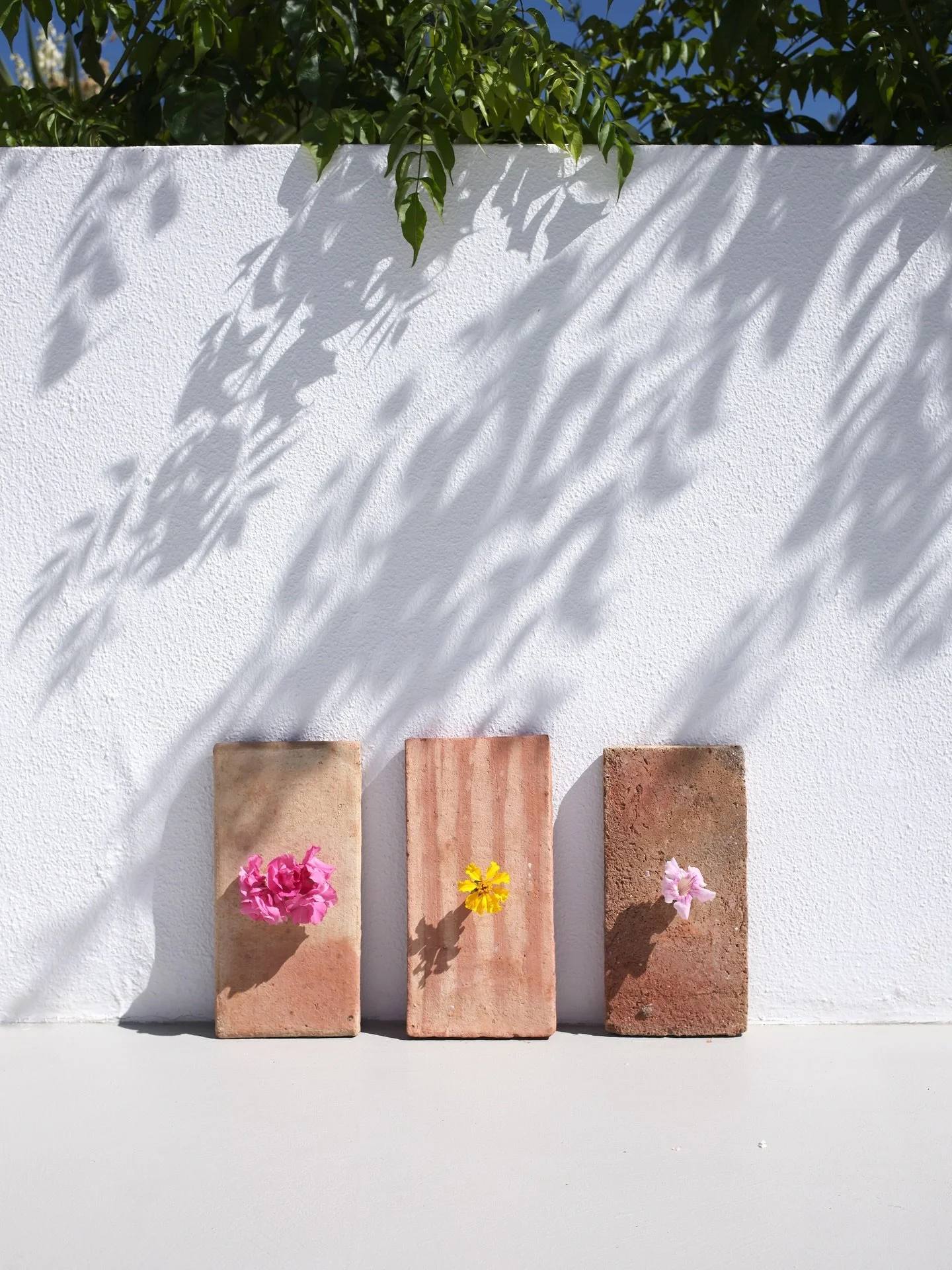 Documenting some of the beautiful flowers found in the grounds of @ensohouse. From the left we have oleander, followed by marigold and finishing with pink trumpet vine.