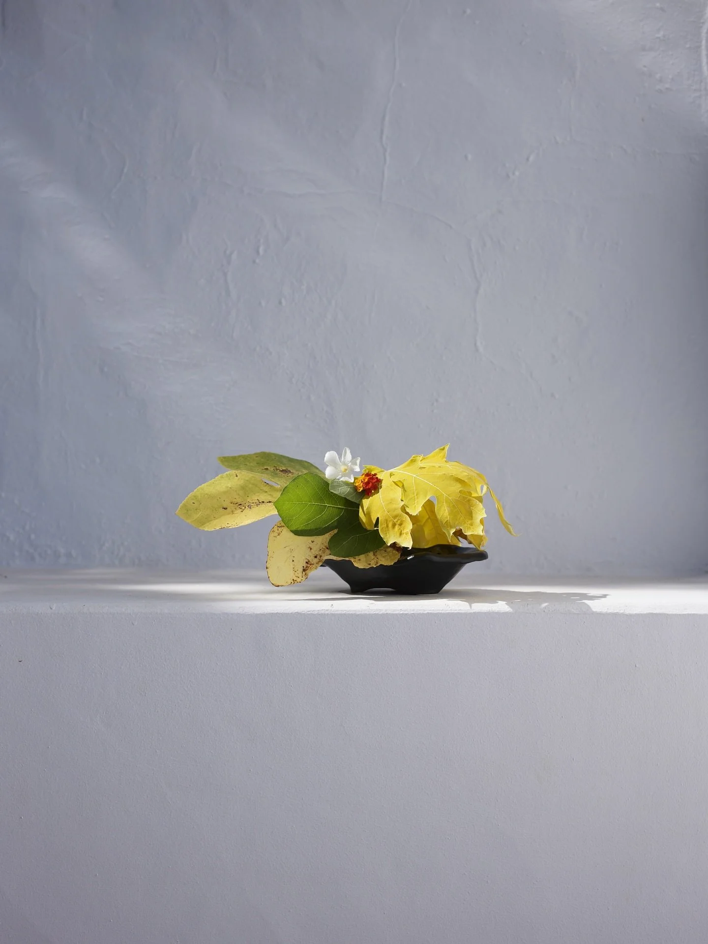 During our two-week residency at @ensohouse, we set out to create a little catalogue of experiments. Each day brought something new. A different vase, different flowers, different colours. We cut and sourced materials from the grounds and nearby area