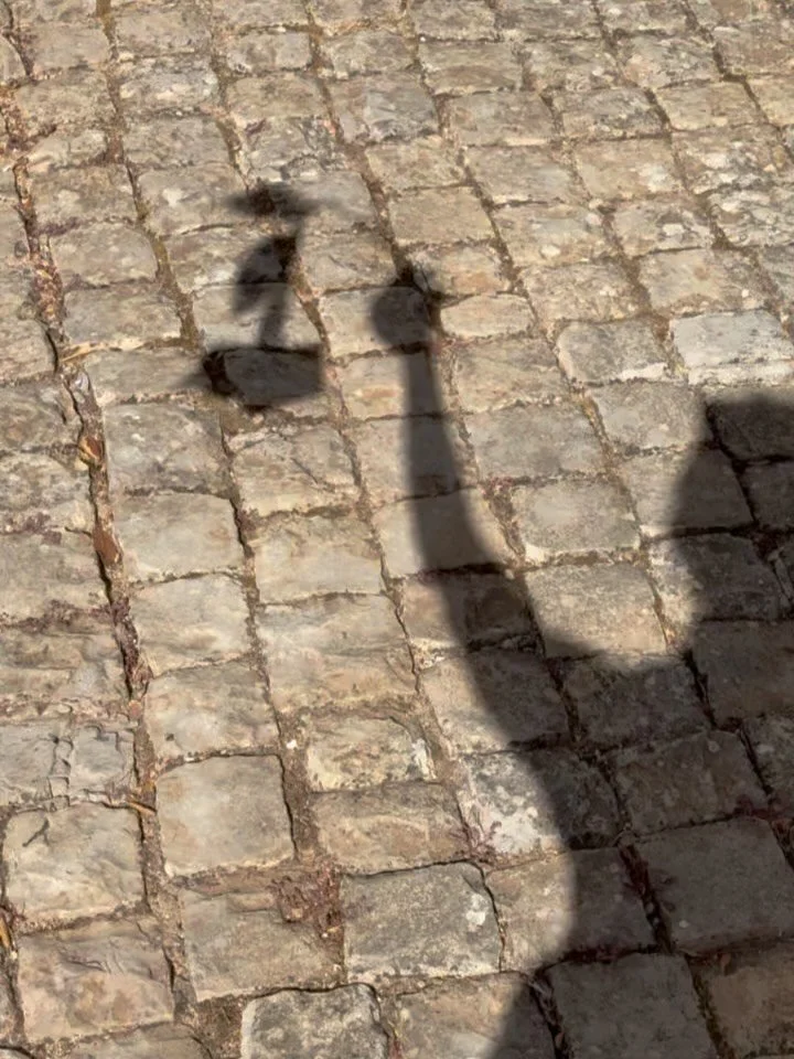 I&rsquo;m always on the lookout for playful, beautiful little moments in nature &mdash; the kind that make you stop and smile. Here are some of those moments at @ensohouse. 

That&rsquo;s what keeps me inspired. That same sense of curiosity and joy c