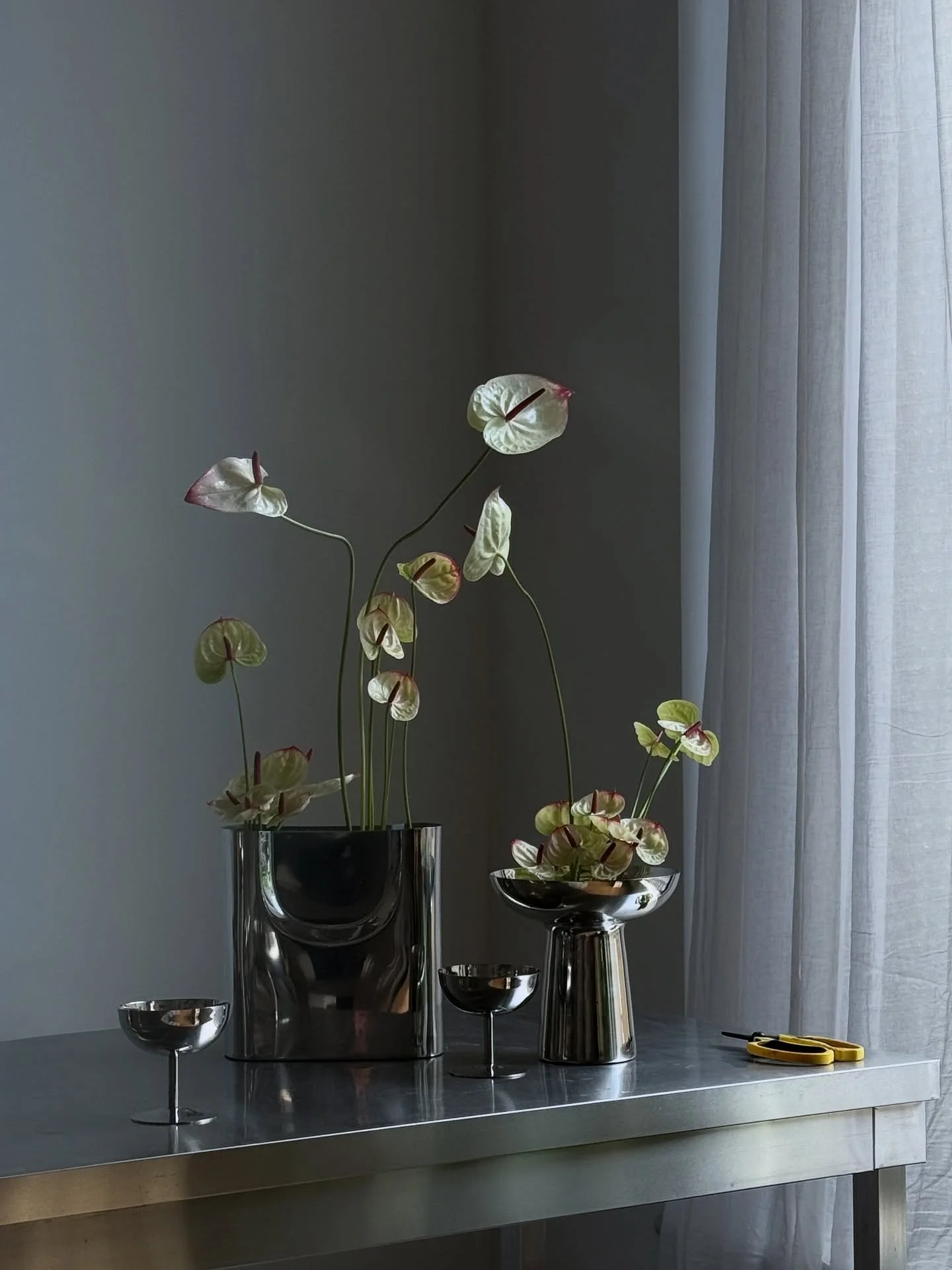 We love the impact of a single flower. Here&rsquo;s a little look at our sculptural anthurium arrangements for @hauslabs - from in-progress to studio shots to on-site at @canal.canal.canal. 

Event Design &amp; Production: @fourthwall.co