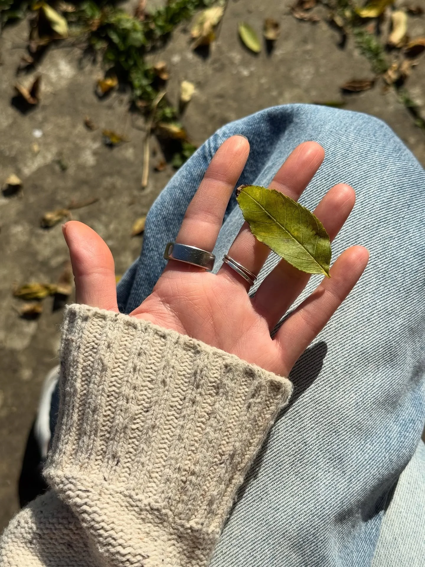 Some of our favourite flowery moments from the beautiful Autumn season. 

It&rsquo;s was filled with a trip to Great Dixter Gardens, the annual Sogetsu Ikebana exhibition, designing Anthurium compositions, admiring the changing colours in Victoria Pa