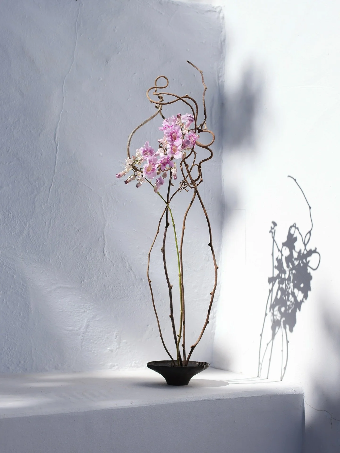 Found some twisted kiwi branches blending in with the trunk of tree at @ensohouse and thought long and hard with what to pair with it. The delicate, pink Angel Trumpet seemed like a perfect and poetic contrast. 

#floraldesign #minimalism #floraldesi