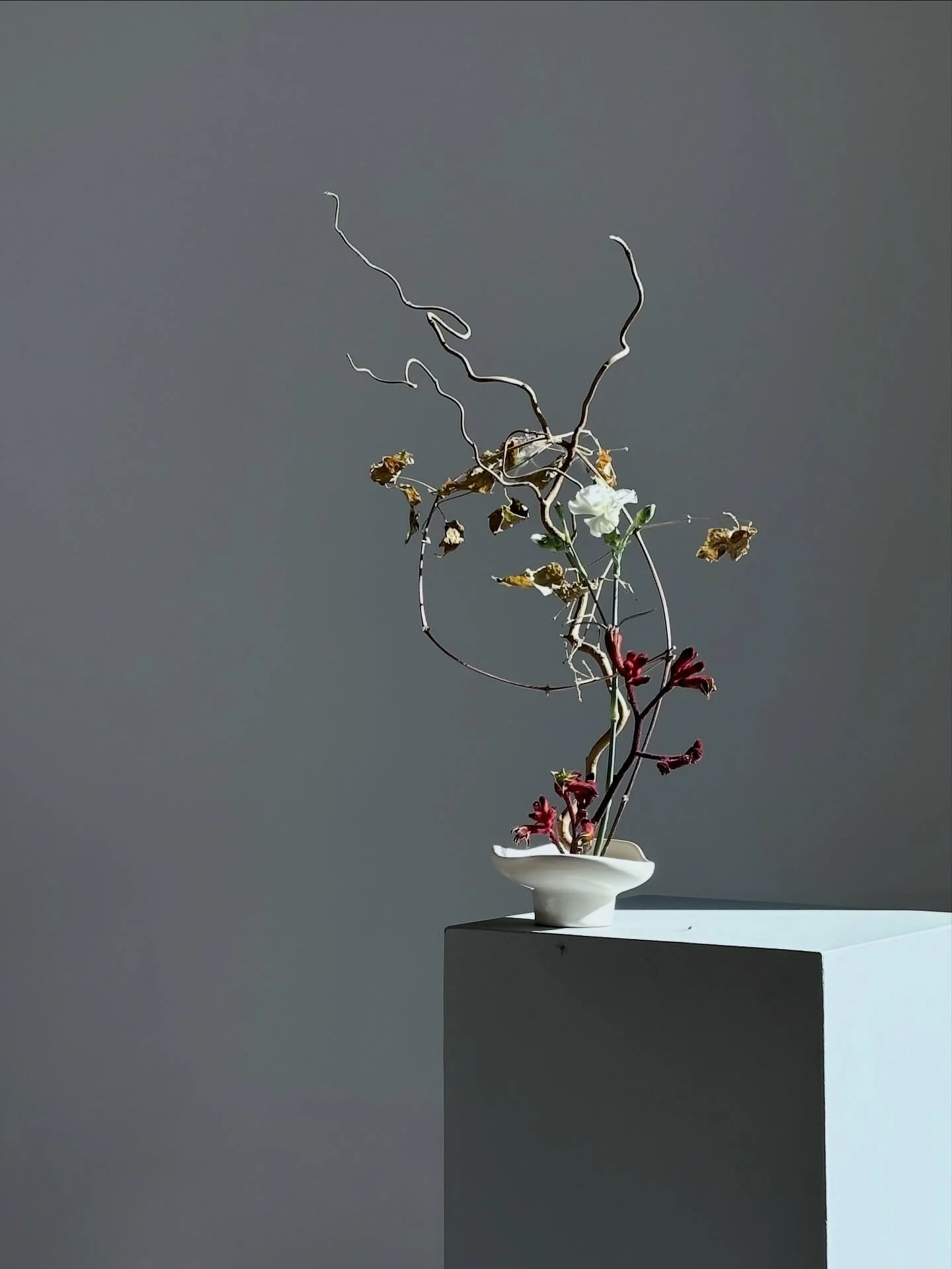 NEW WORKSHOP DATE. 

The cold air, bare branches, and quiet beauty of the darker months &mdash; our first workshop of 2026 will be a celebration of winter.

Learn how to sculpt with branches, dark florals, and moody accents. Spaces are now live on ou