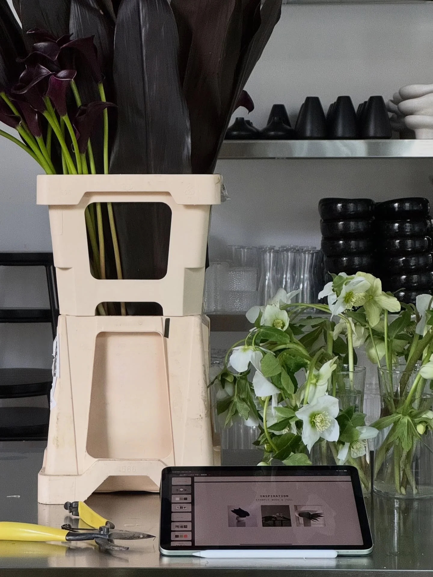 First week back in the studio after an extended holiday and feeling grateful for our studio space, collaborators and clients! 

Excited for the year ahead ⭐️

#floralstudio #londoncreatives #londonflorist