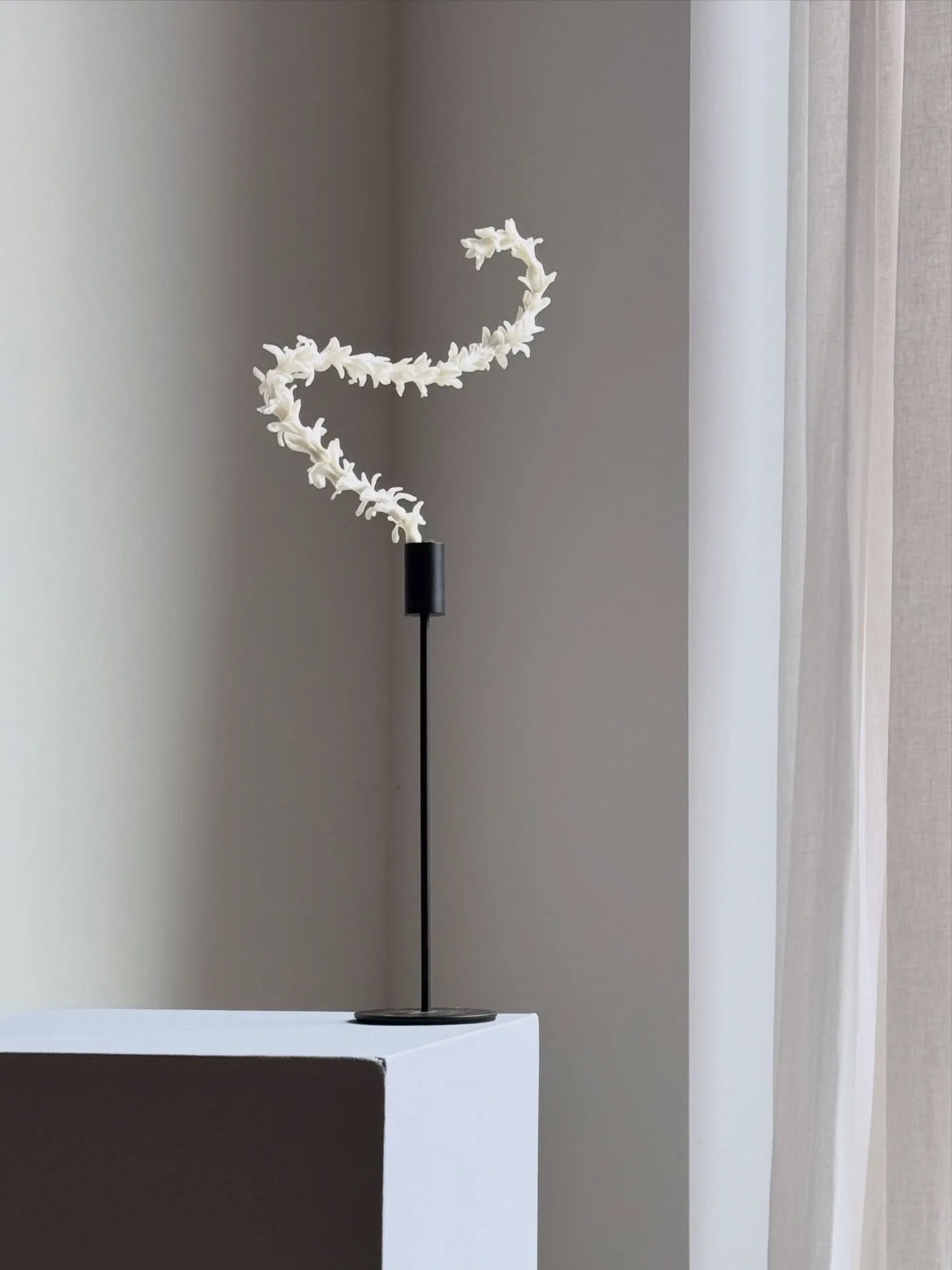 From hyacinth bulb, to wire, to a dancing arrangement. These were our studio tests in motion &mdash; more soon! 

#studioexperiments #floralprocess #contemporaryflorals