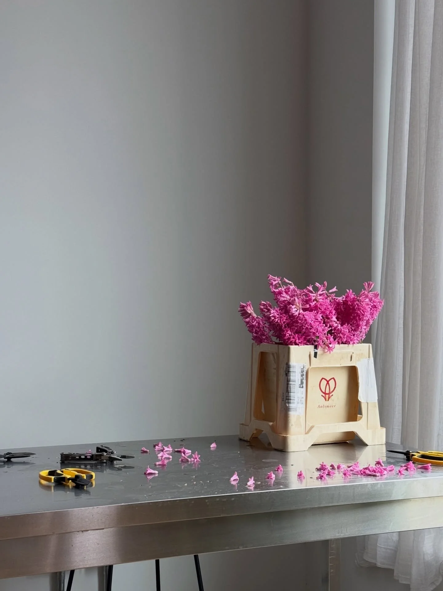 We spent over a week knee-deep in hyacinths, waiting patiently for them to bloom. There&rsquo;s something quietly powerful about watching flowers come to life at the very moment they begin to fade.

#hyacinths #springflowers #floralstudio