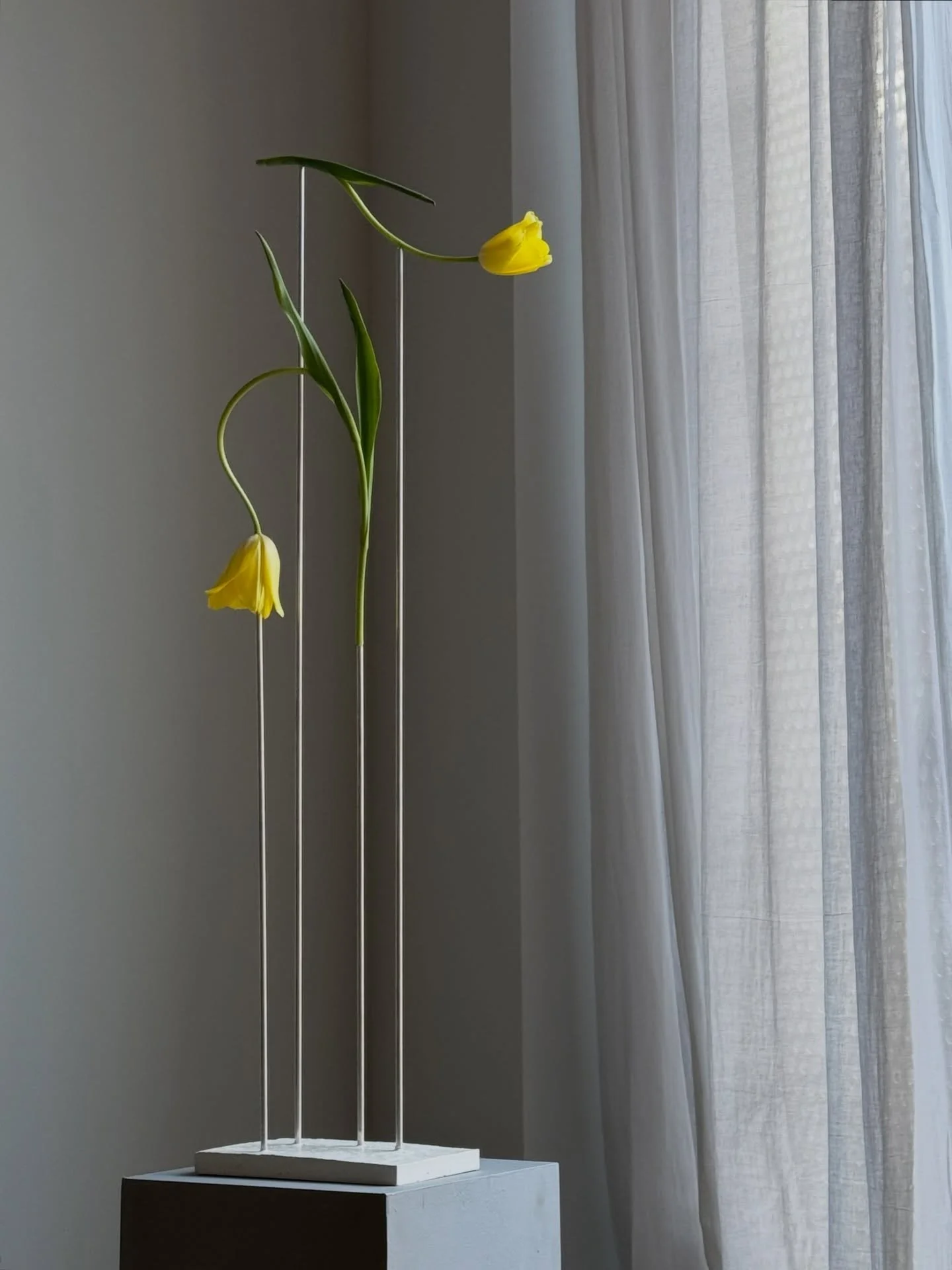 We tested, and re-rested and tested again - these are our iterations of our &lsquo;dancing&rsquo; tulip sculptures for Rambert Dance Company. 

Making a sculpture that felt delicate, yet still held the weight and movement of a french tulip was tricky