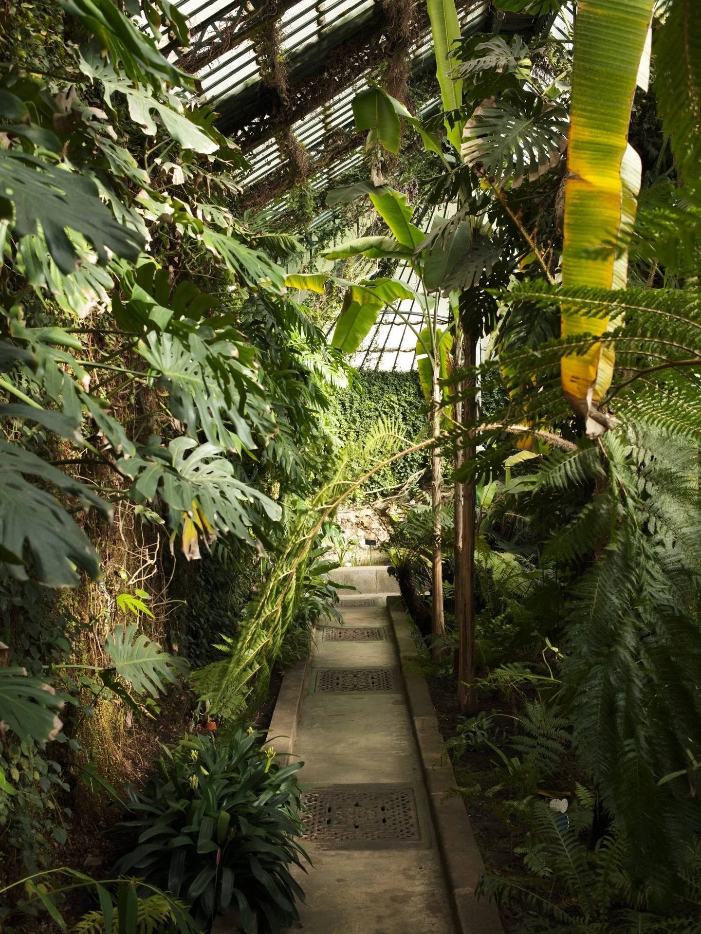 A little love letter to Madrid. We&rsquo;re full on art, culture and nature! 

#madrid #weekendtrip #visitmadrid