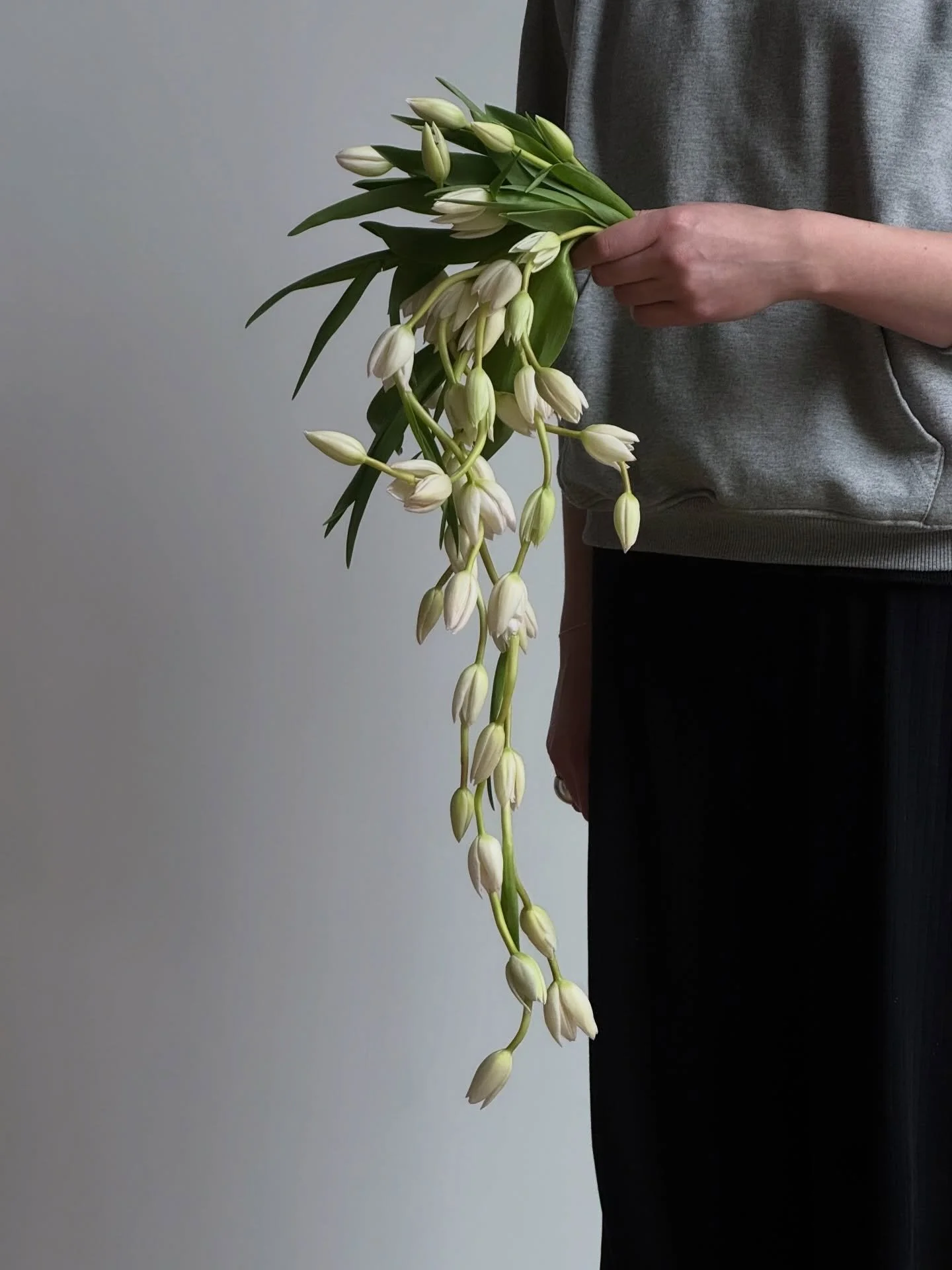 Testing out wiring techniques with this soft, tulip cascade bouquet&mdash;such fun practice ahead of our summer weddings this year. 

We love learning new methods, practices and skills. Thank you to the incredible @passionflowersue for sharing this w