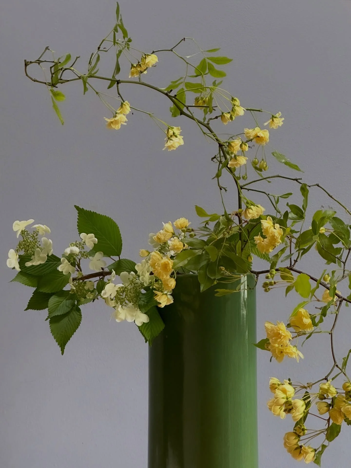 I just love a yellow composition. Found this arrangement while scrolling through my camera roll&mdash;something I made as part of my ongoing ikebana practice.

#summerflowers #ikebana #sogetsuikebana