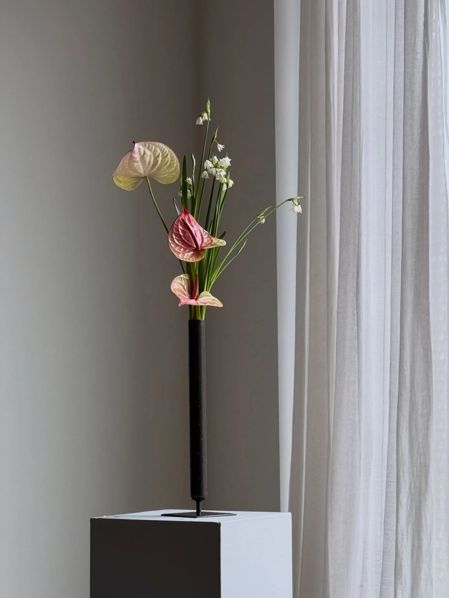 From bucket, to bouquet, to vase arrangement. Flowers three ways. 

#springflowers #floraldesignstudio #londonflorist
