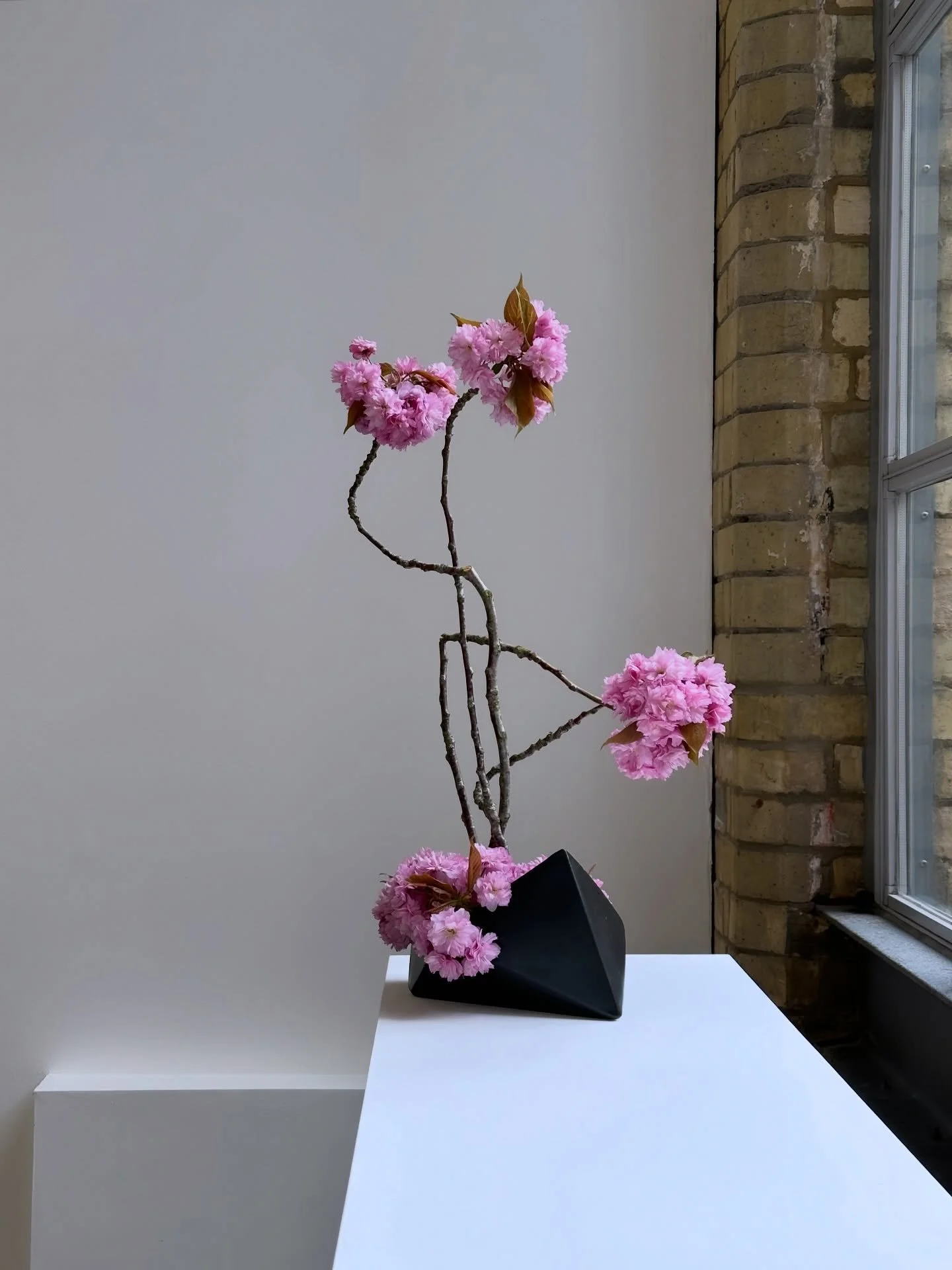 Happy Blossom Season! 💕🌸💖

#cherryblossomseason #pinkflowers#londonflorist