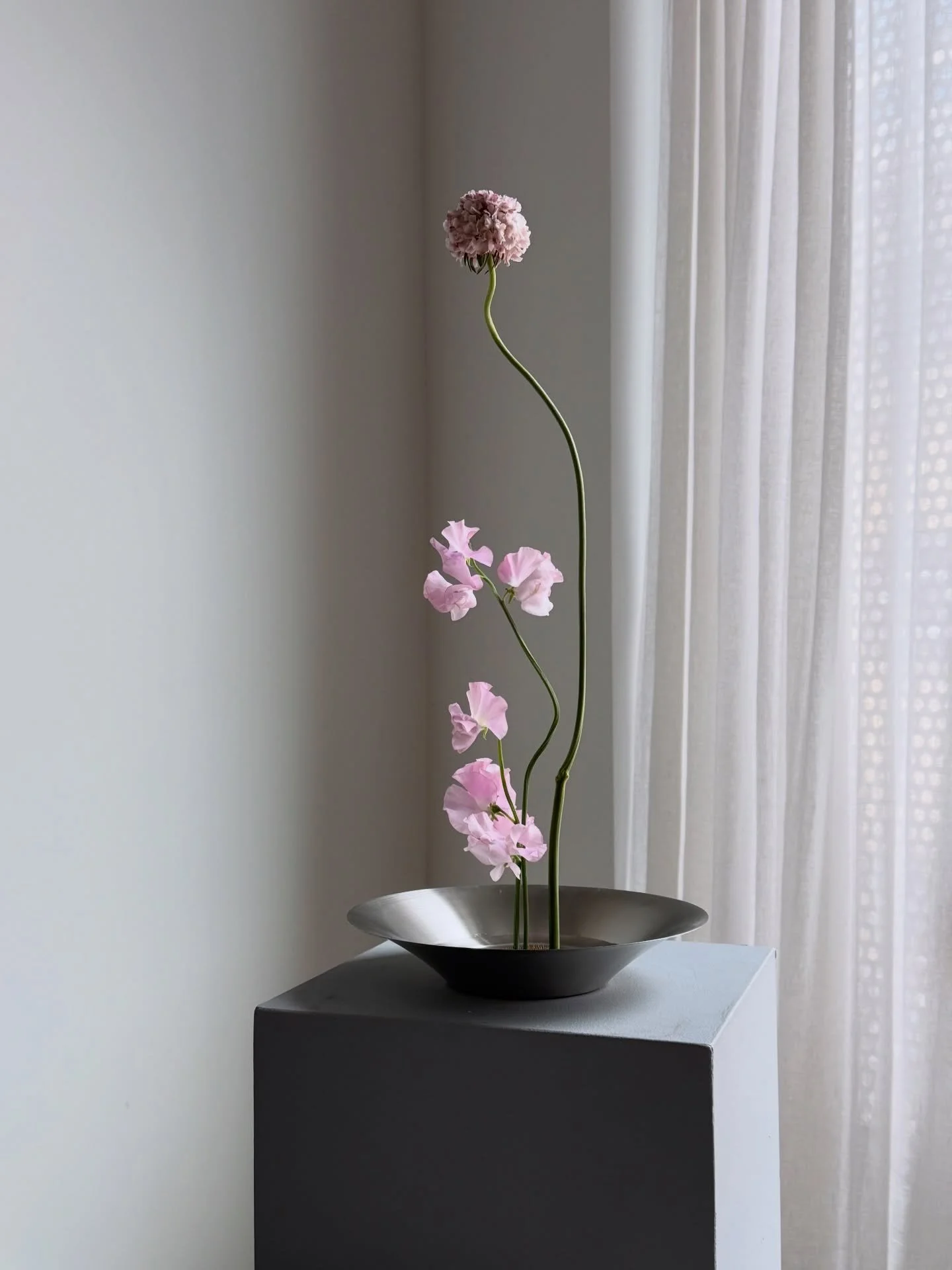 Created this 10 minute warm-up floral arrangement at our PINK workshop this past weekend.

My intuition always guides me to strip things back and let each material speak for itself&mdash;the line of the scabiosa stem, the frill of the sweet pea, and 