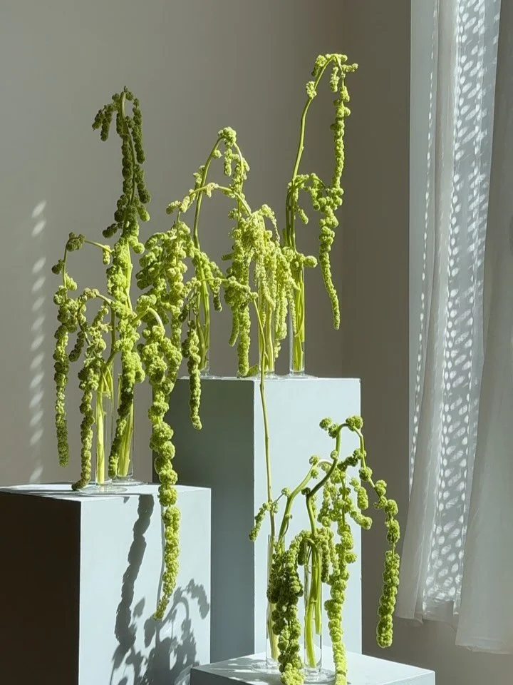 Last week our studio was full of wonderful flowers for a spring wedding &mdash; fritillaria, hyacinths, butterfly ranunculus and amaranthus. Simple, fresh and seasonal! 

#floraldesign #weddingflorist #springflowers