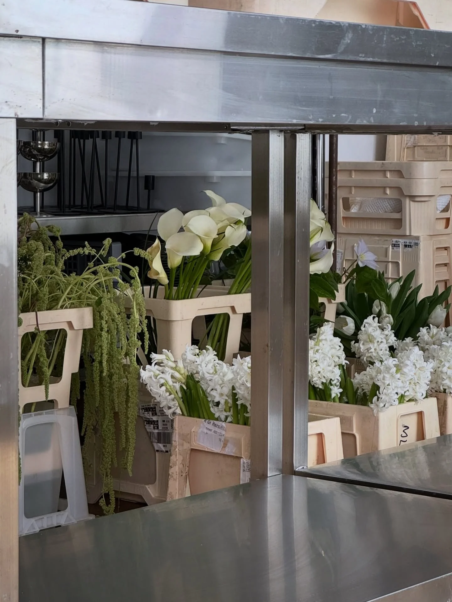 Lately at the MOS studio - we&rsquo;ve been busy with our spring weddings. Nothing quite like stepping into a space filled with the scent of hyacinths and daffodils! 

#springwedding #floraldesignstudio #londonflorist