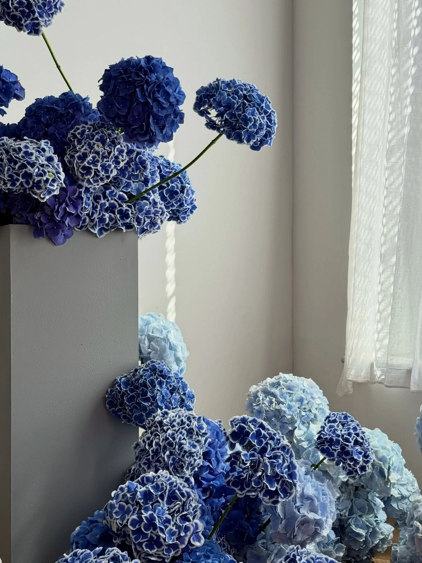Blue hydrangeas and red roses for @thesocialpr_ and @colorwowhair last week. 

Love seeing bold colour combinations like this come to life in the studio! 

#londonflorist  #londonevent #eventflorals