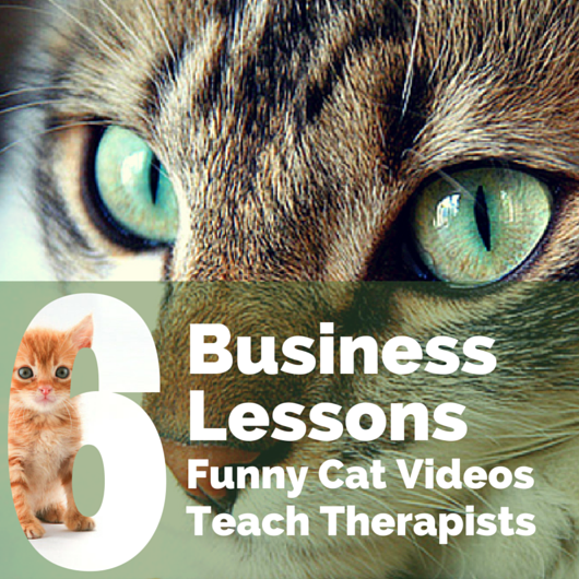 Business Planning for Therapists and Funny Cat Videos