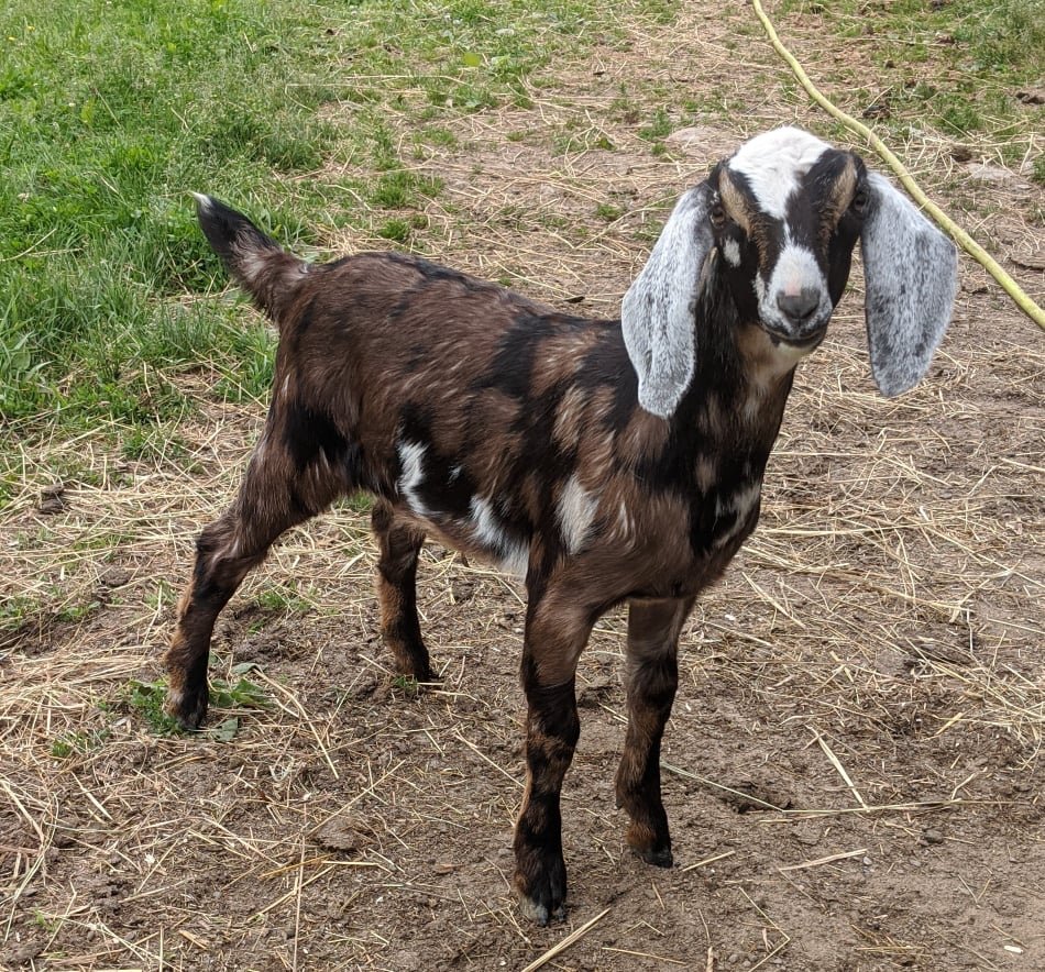 Betty as a baby