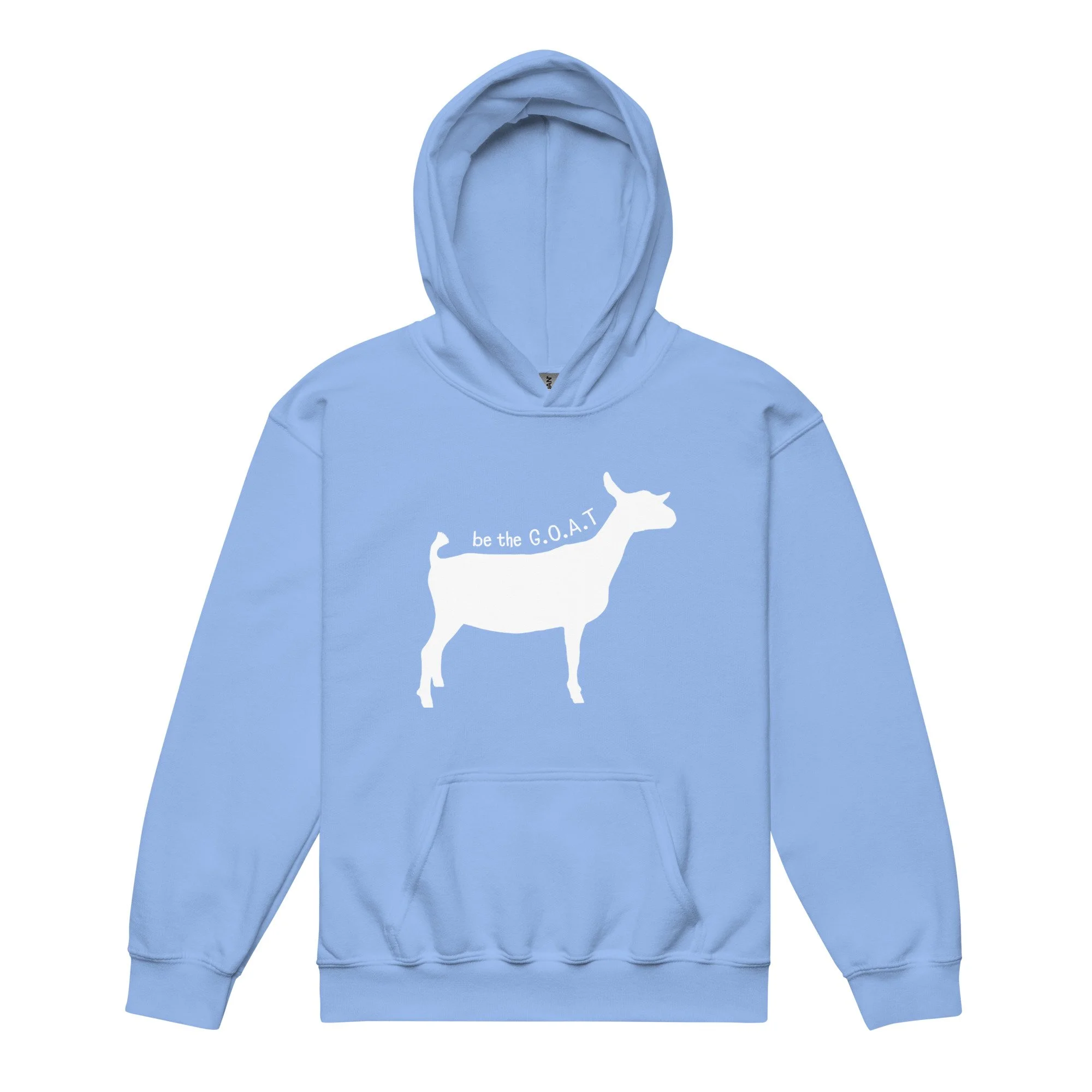 youth-heavy-blend-hoodie-carolina-blue-front-695ad19f0663e.jpg