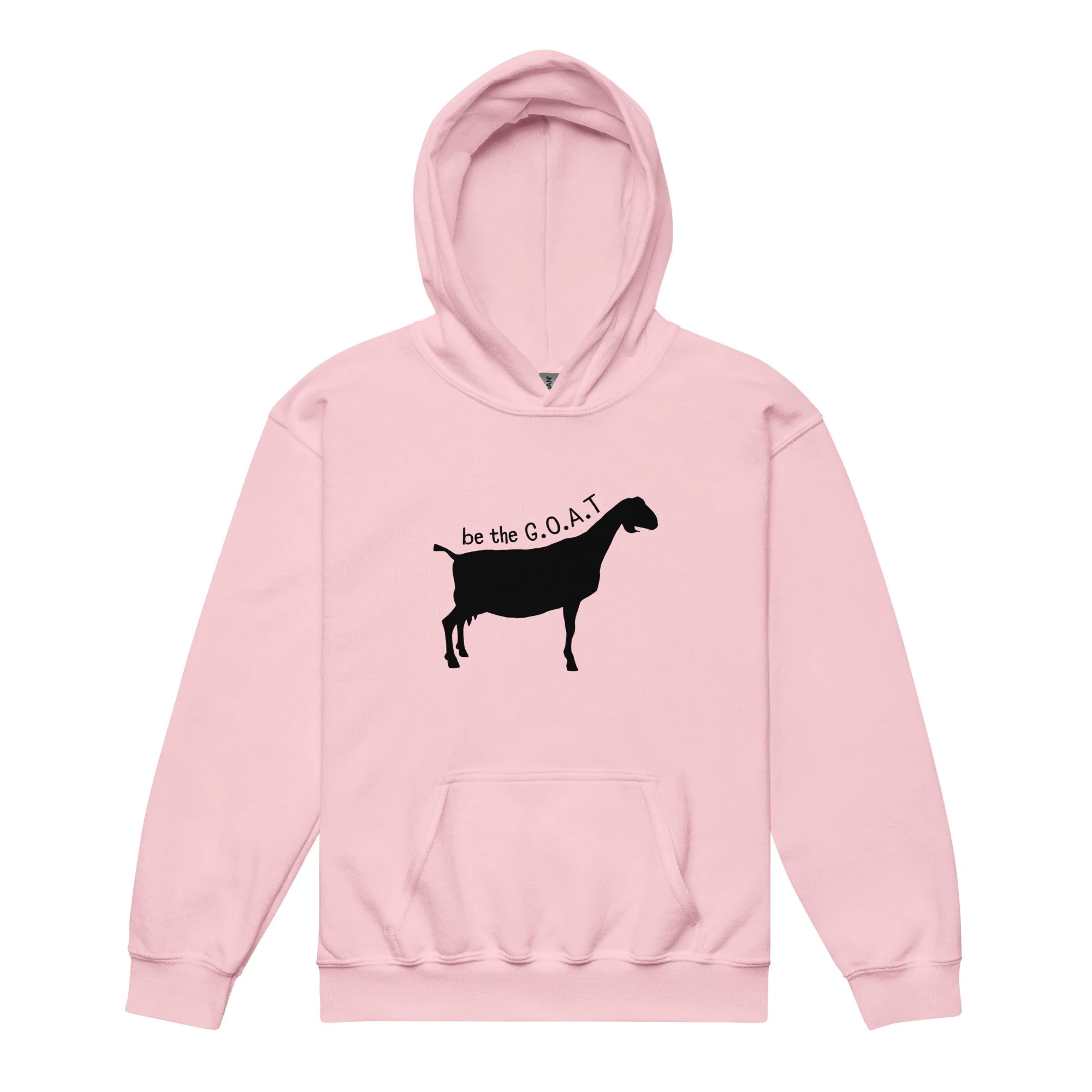 youth-heavy-blend-hoodie-light-pink-front-695ad20e8e2c5.jpg