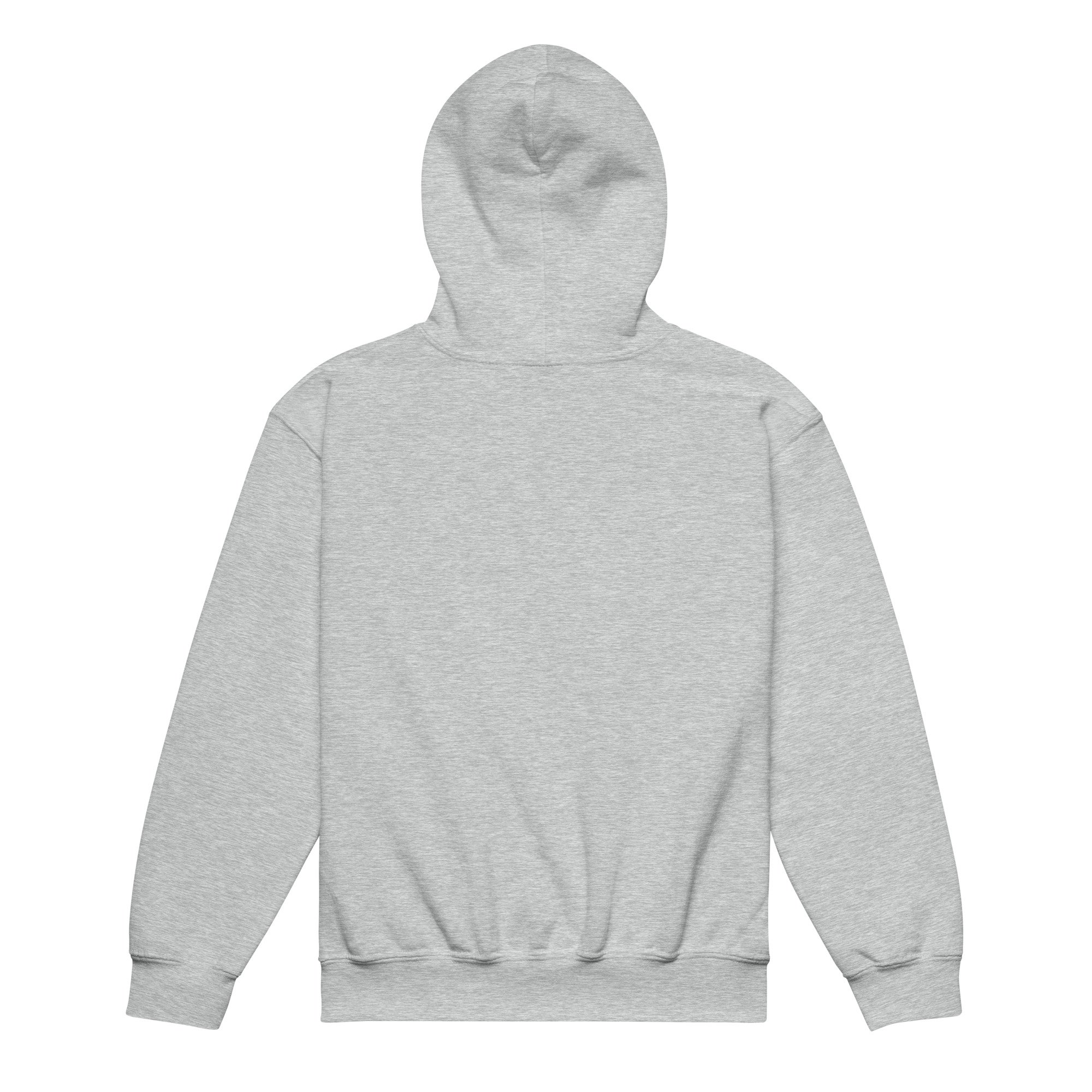 youth-heavy-blend-hoodie-sport-grey-back-695ad20e8febe.jpg