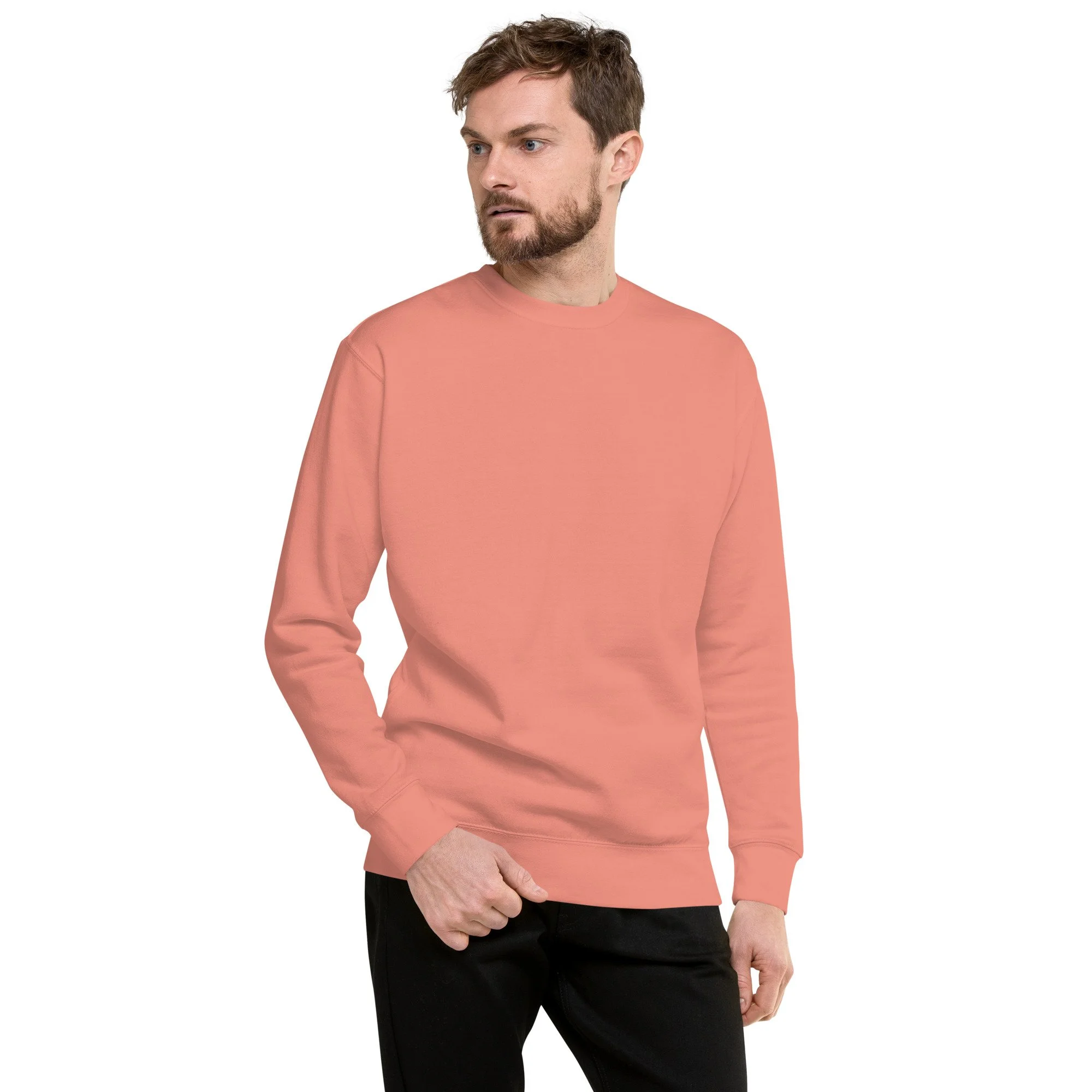 unisex-premium-sweatshirt-dusty-rose-front-695b2254d3090.jpg