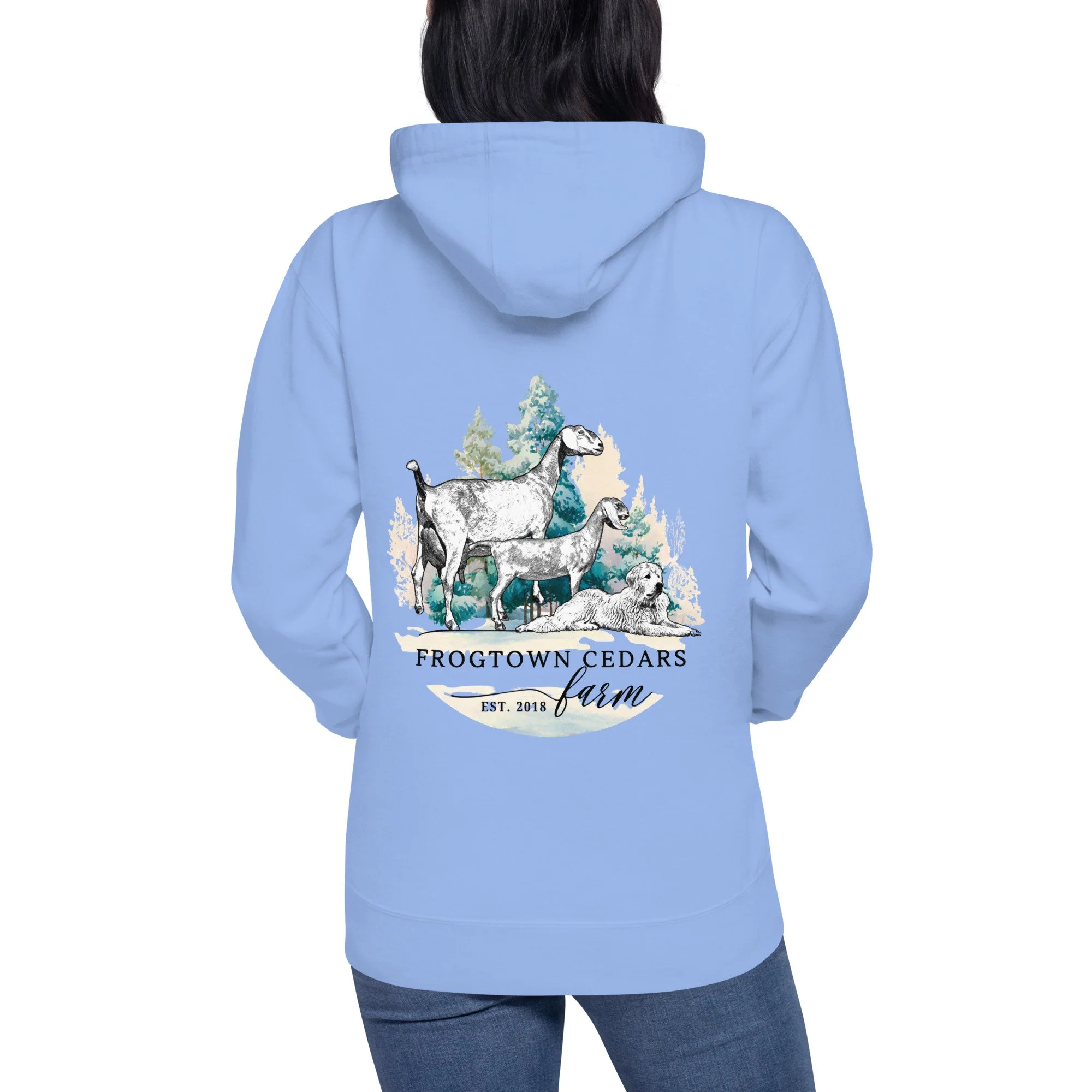 cotton-heritage-m2580-i-unisex-premium-pullover-hoodie-carolina-blue-back-695c71ea3f3fe.jpg