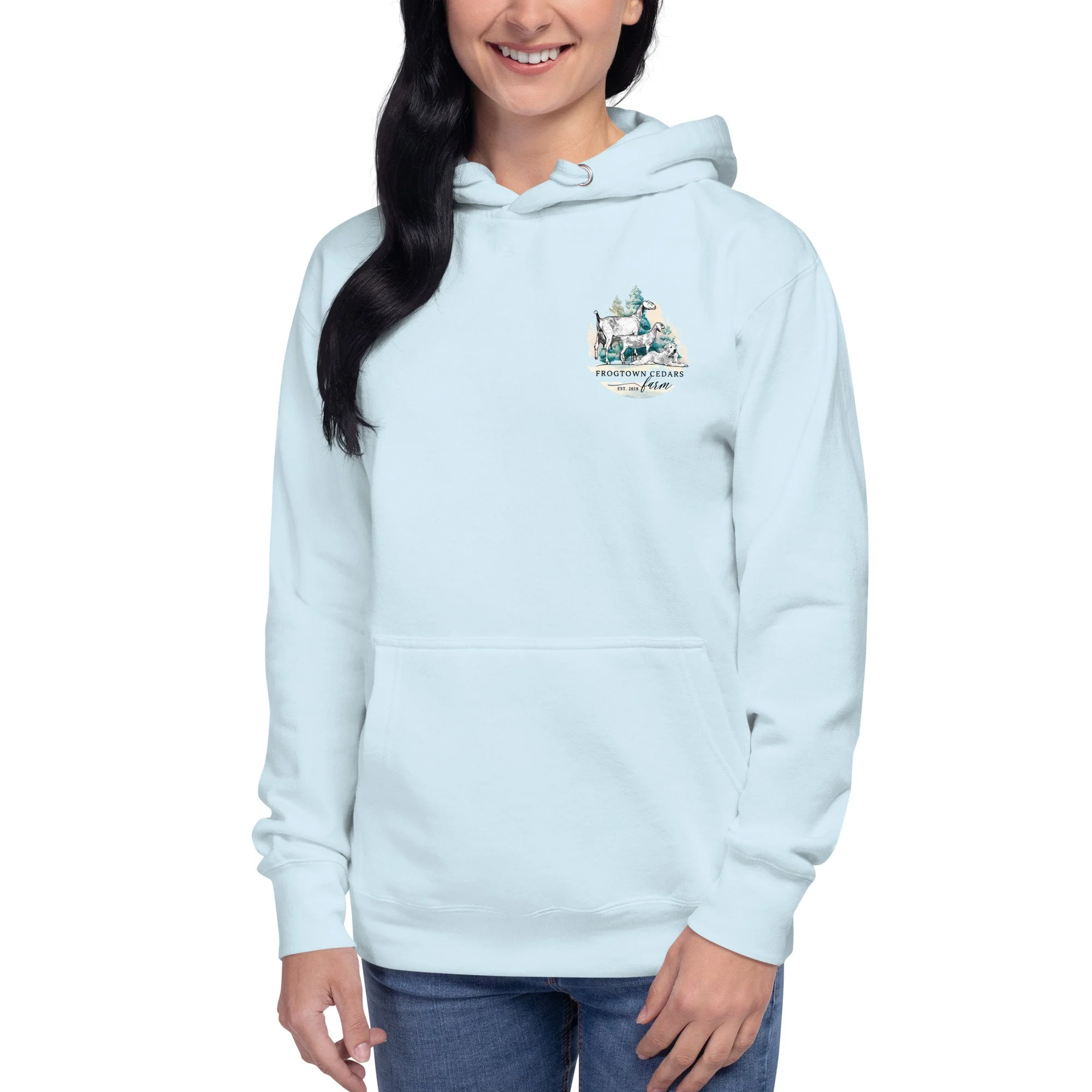 cotton-heritage-m2580-i-unisex-premium-pullover-hoodie-sky-blue-front-695c71ea59da3.jpg