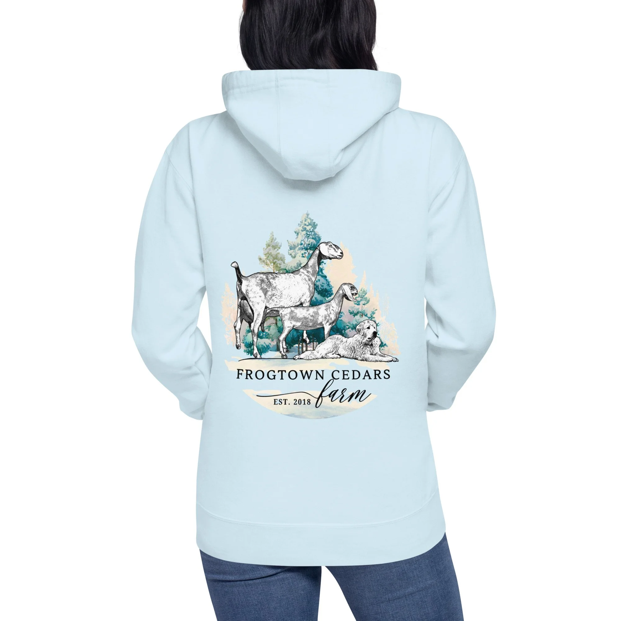 cotton-heritage-m2580-i-unisex-premium-pullover-hoodie-sky-blue-back-695c71ea5ff17.jpg
