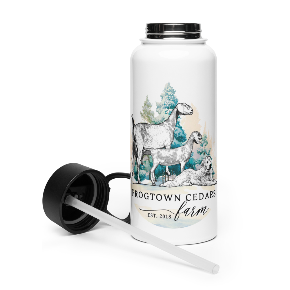 stainless-steel-water-bottle-with-a-straw-lid-white-32-oz-left-695b327123f93.png