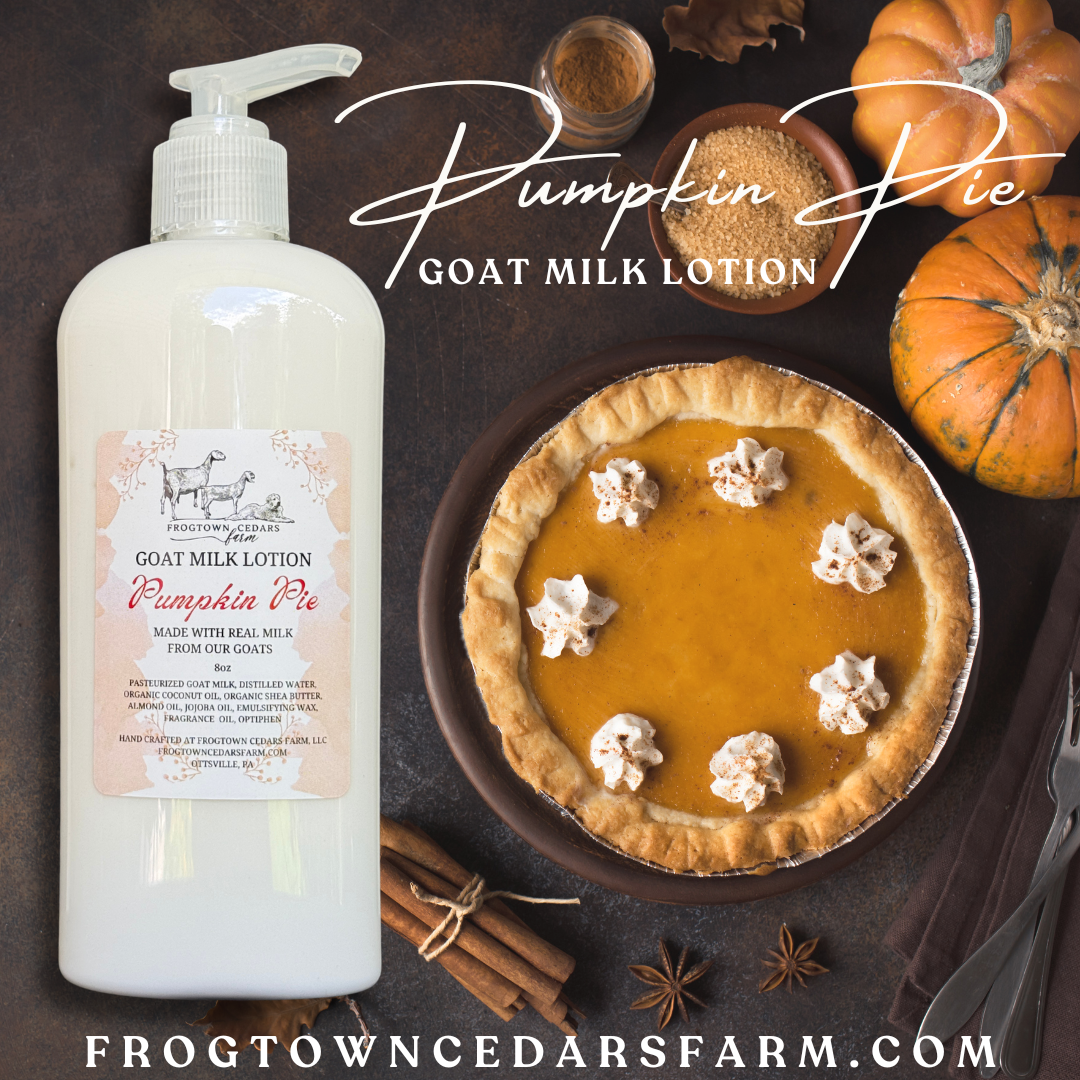 Pumpkin Pie.png