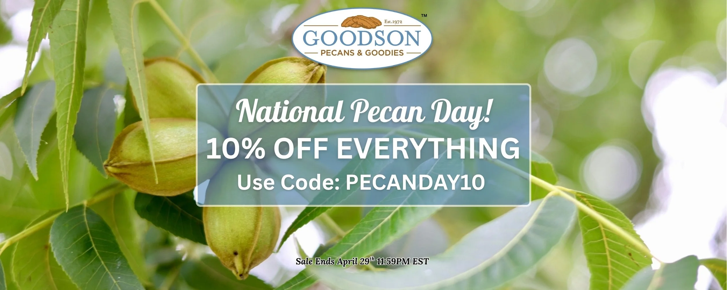 National Pecan Day! 10% OFF Everything. Use Code: PECANDAY10