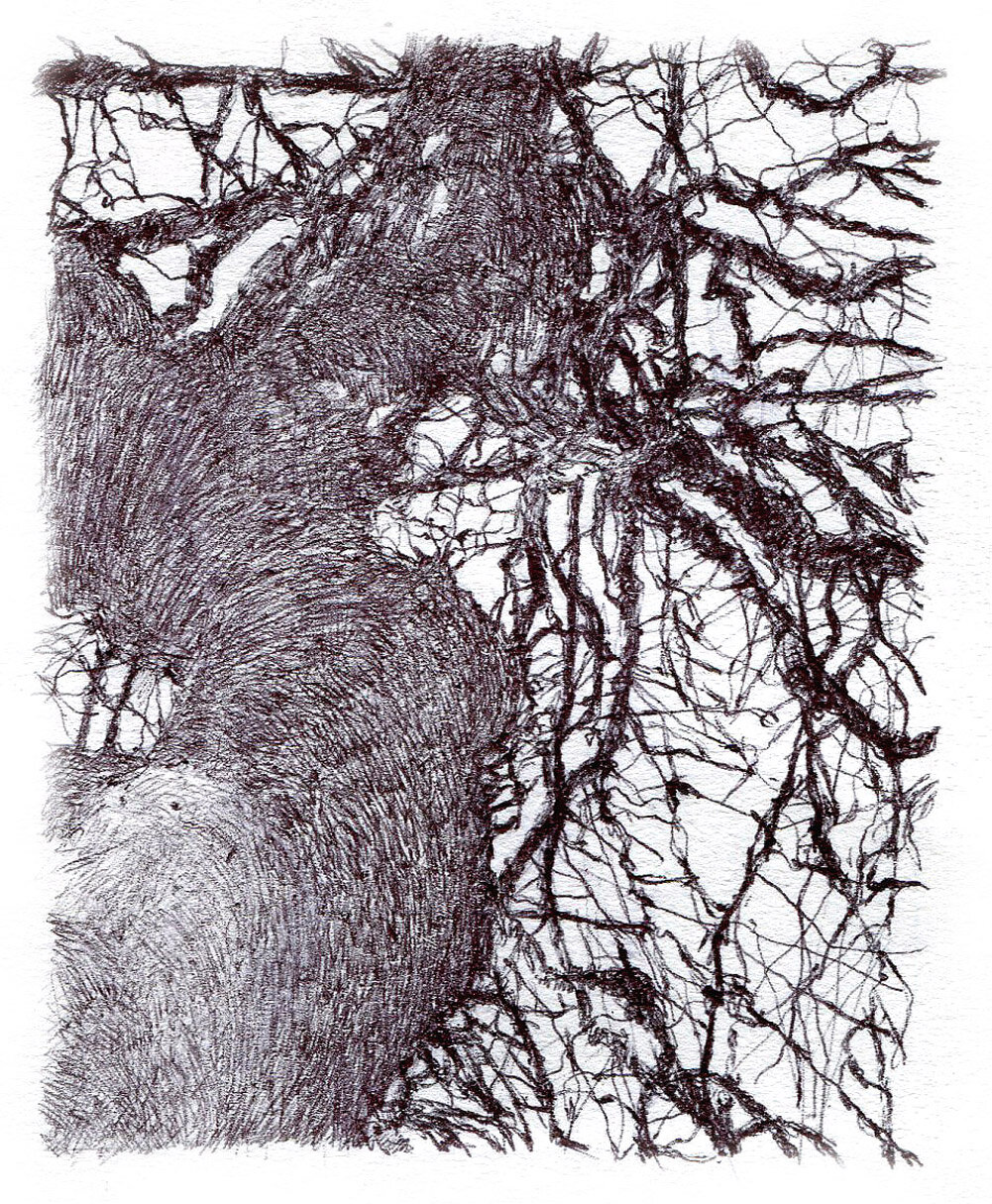 hardy tree axisweb 2020.jpg