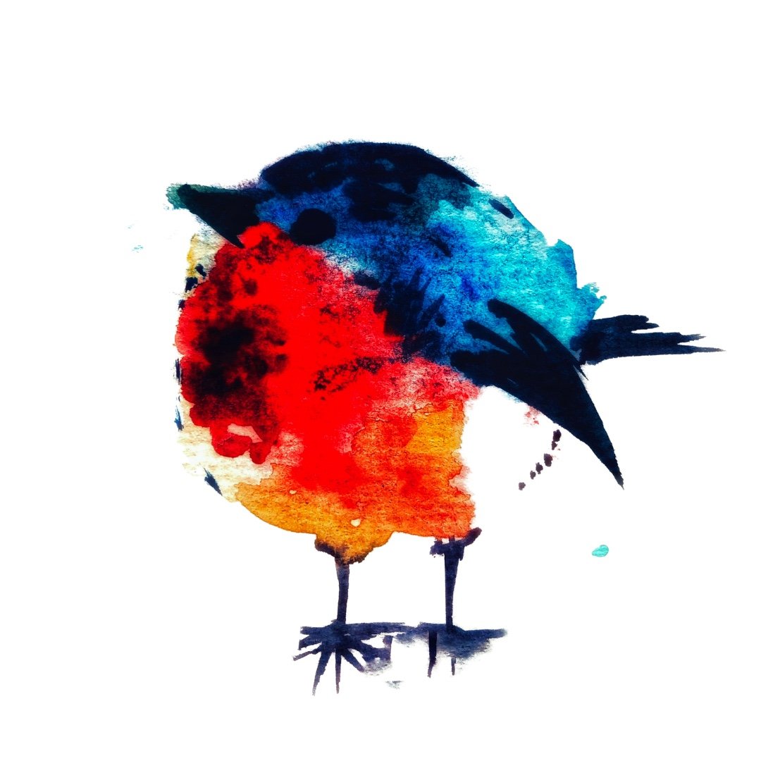 Robin