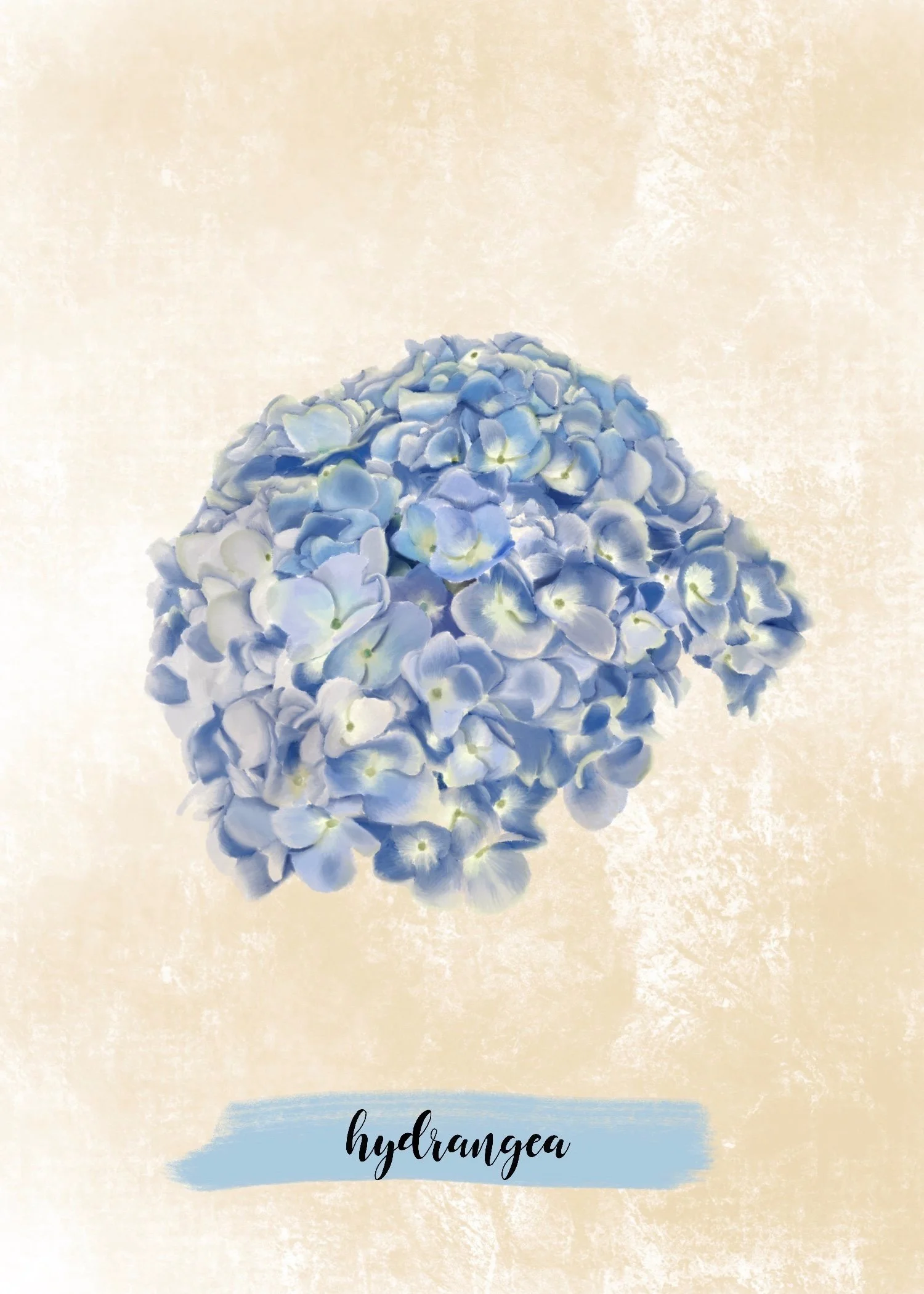 Hydrangea+2.jpg