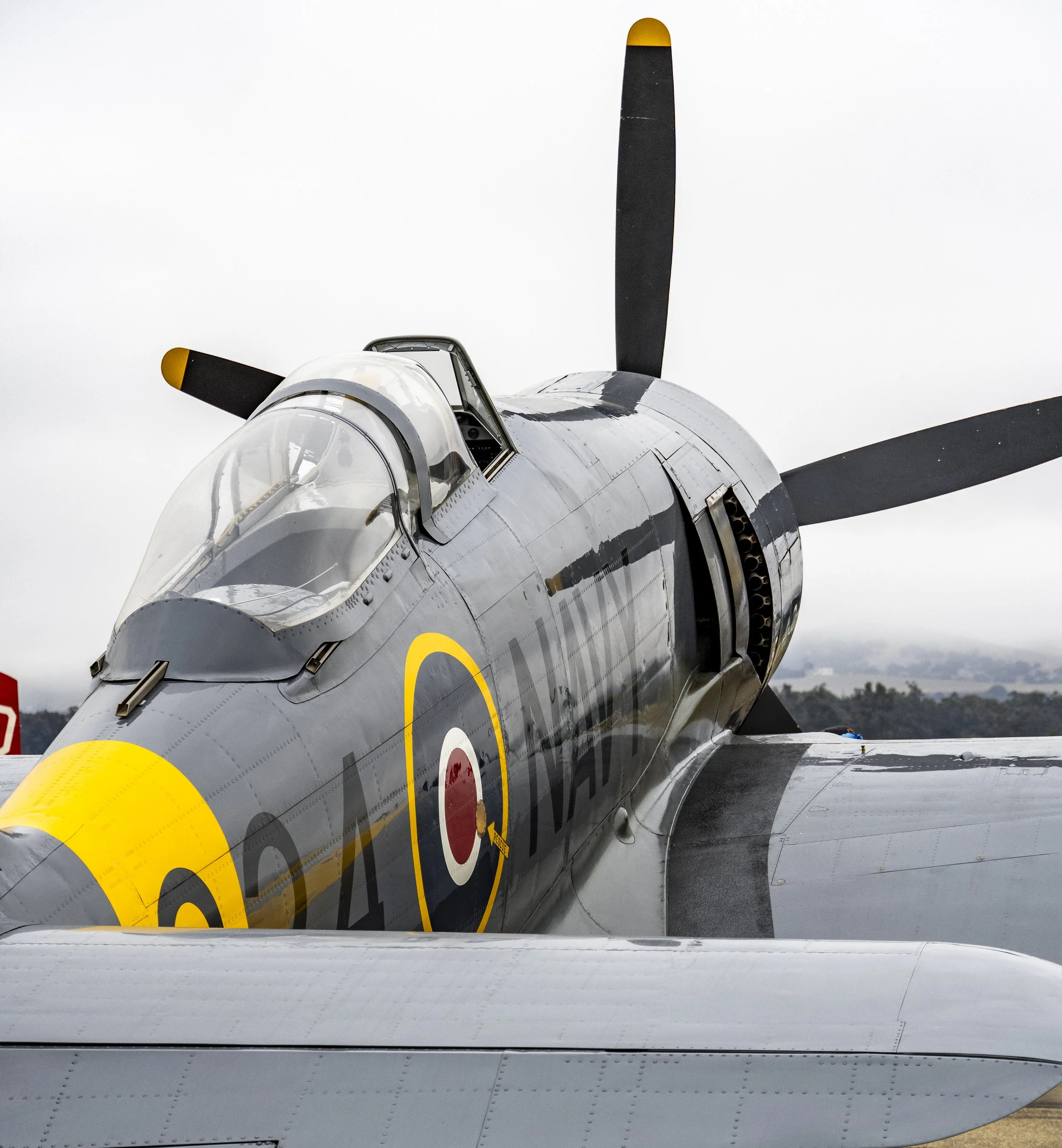 Close-up of a military fighter jet plane's front section with canopy, black and yellow propeller blades, gray metal body with military roundel markings, and part of the aircraft's wing visible, set against a cloudy sky.