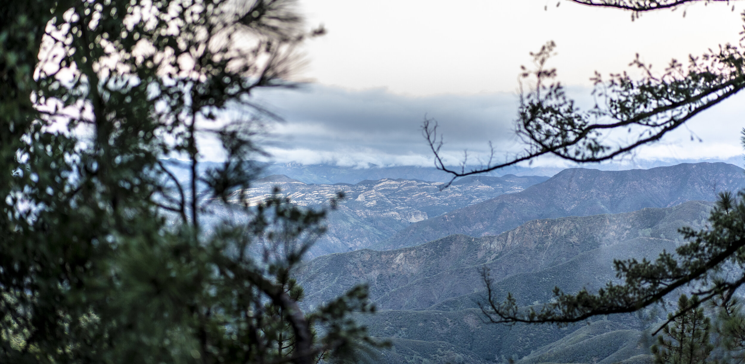 View of mountain ranges with trees in the foreground and clouds in the sky.