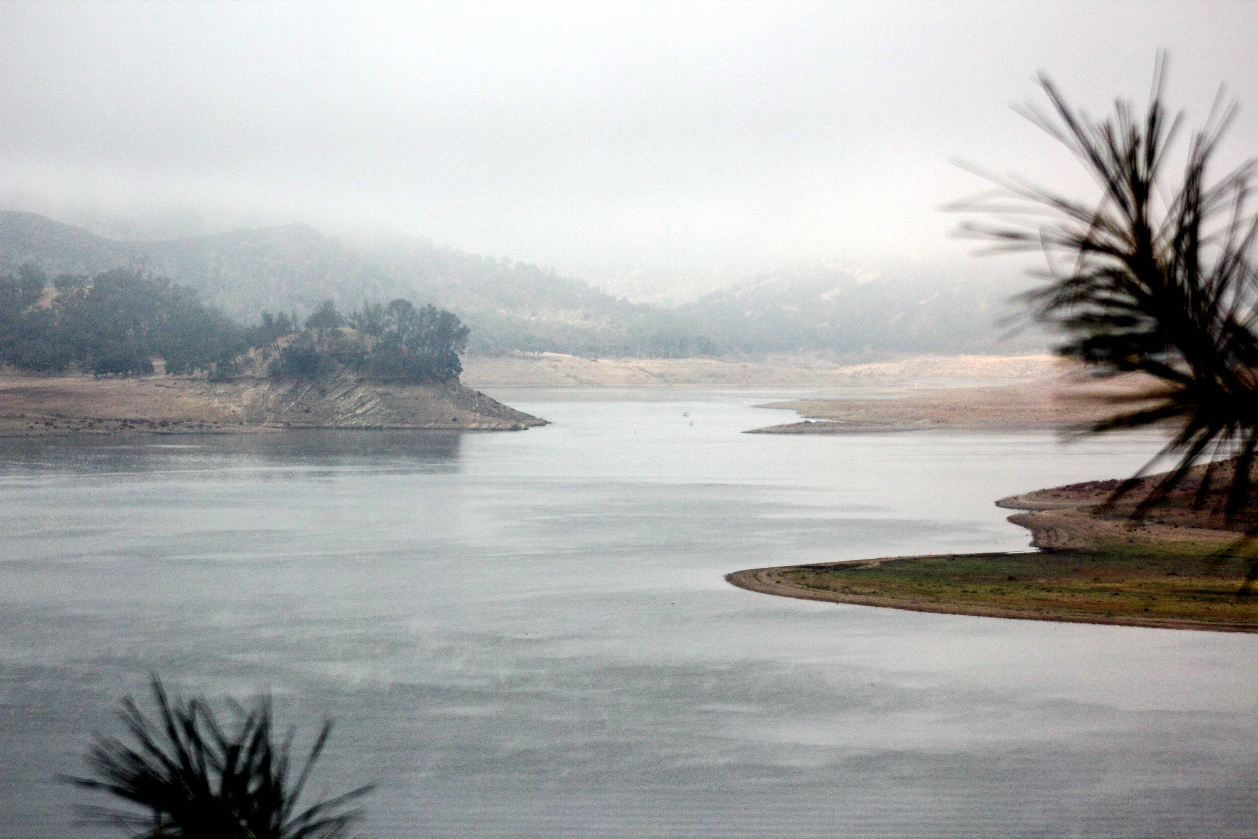 A body of water with a tree-lined shore and distant hills, some of which are obscured by fog, while a palm tree branch is partially visible in the foreground.