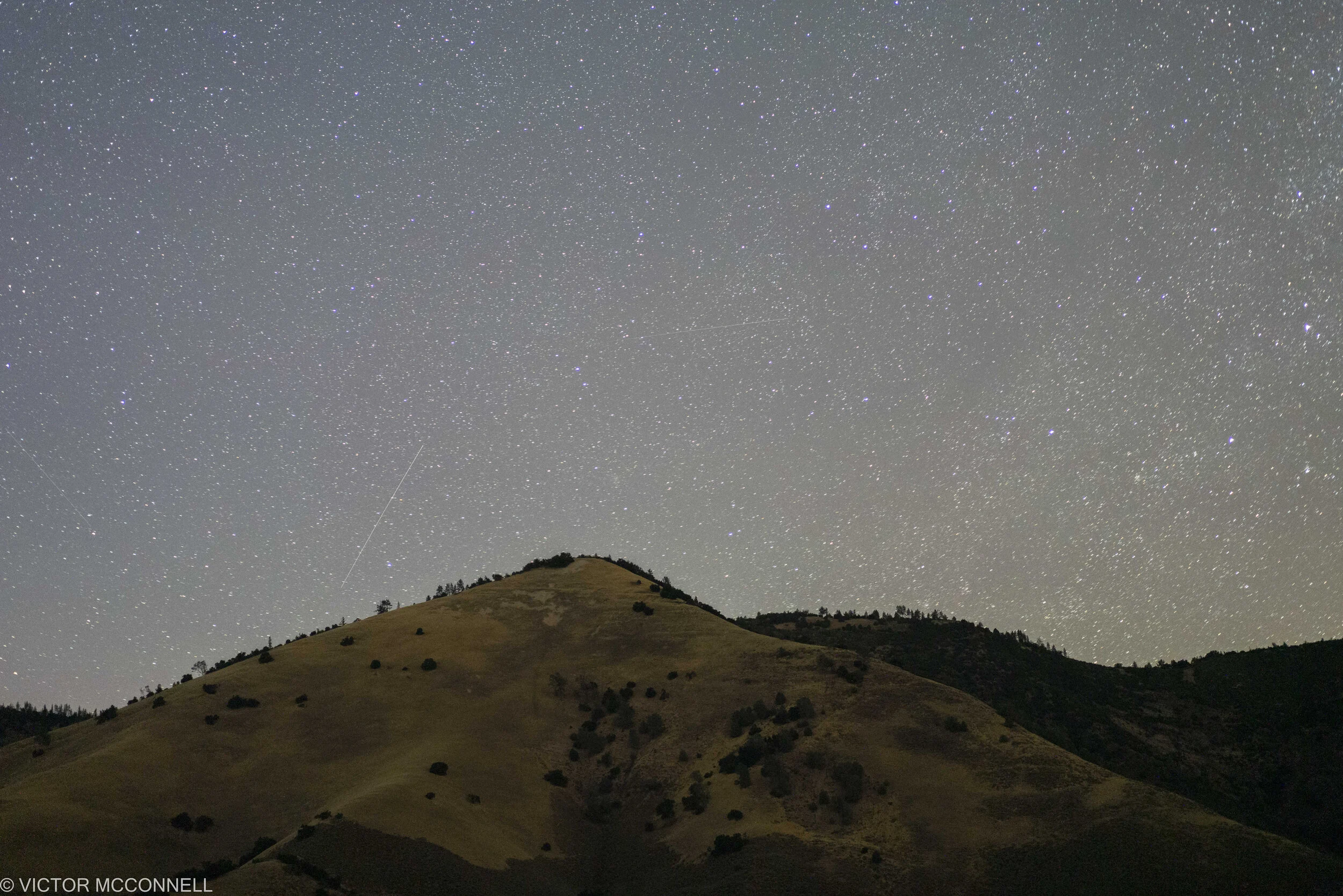 Night sky filled with stars above a hillside with trees.