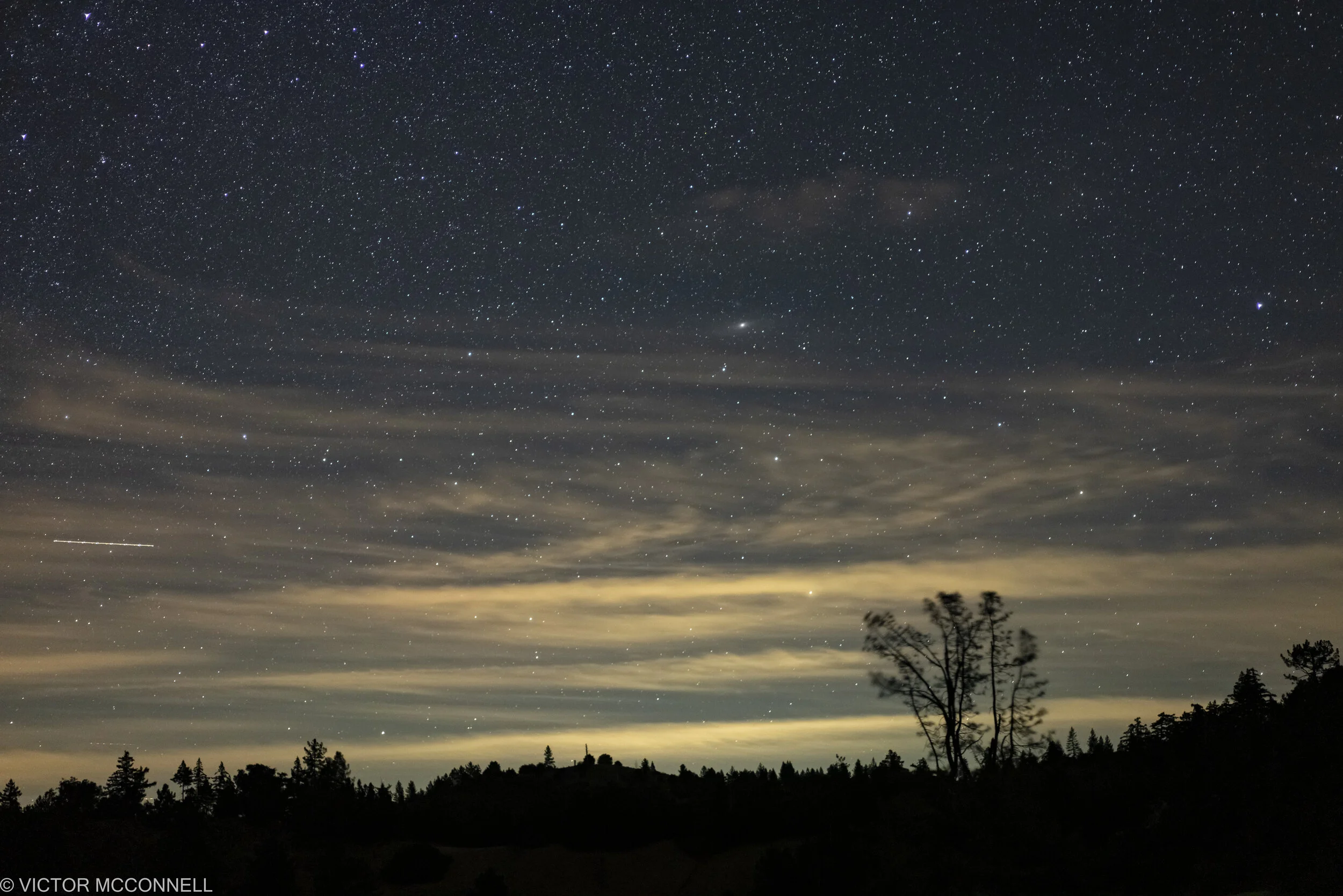 Night sky filled with stars over silhouetted trees and landscape.