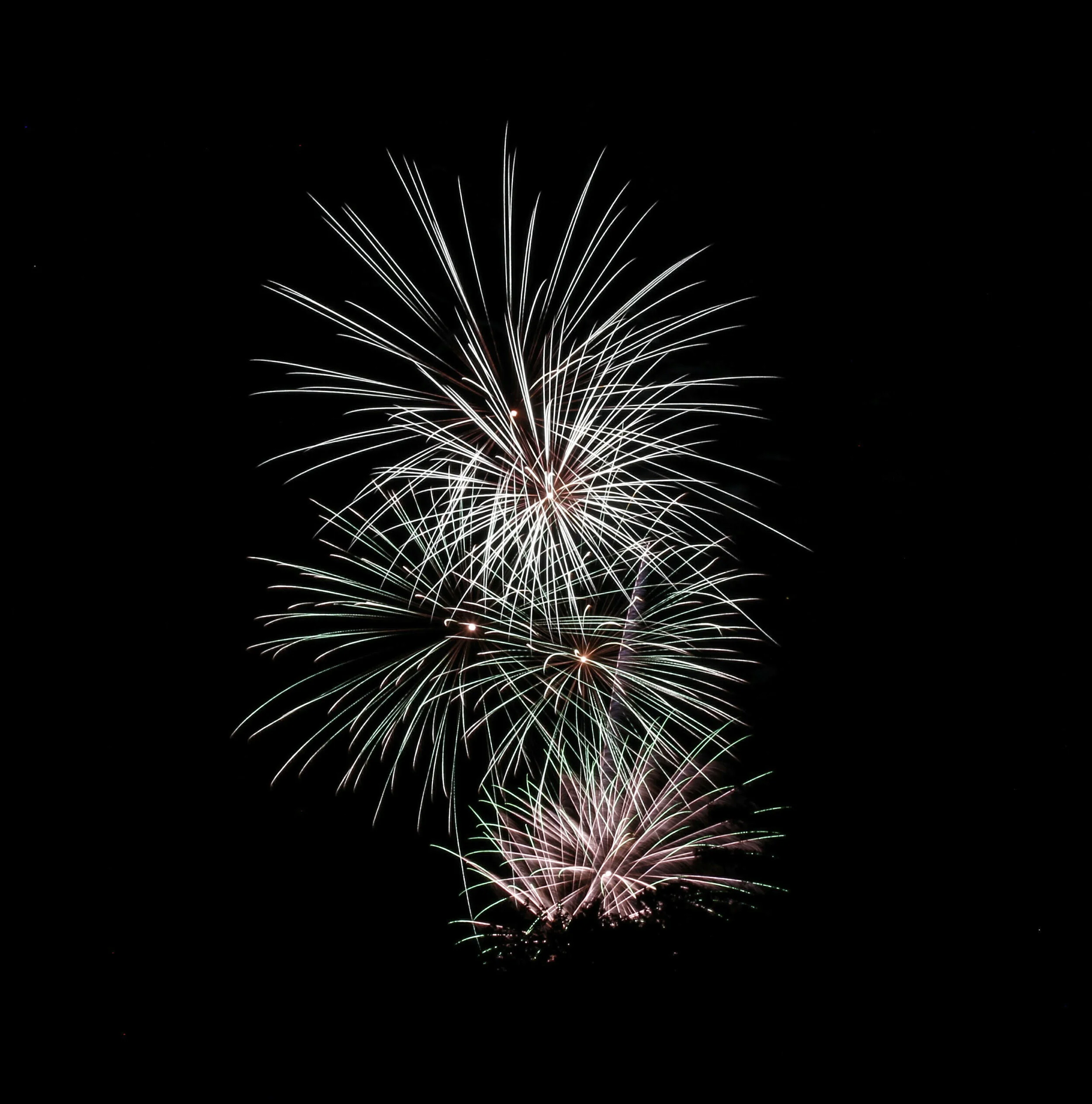 Colorful fireworks exploding in the night sky.