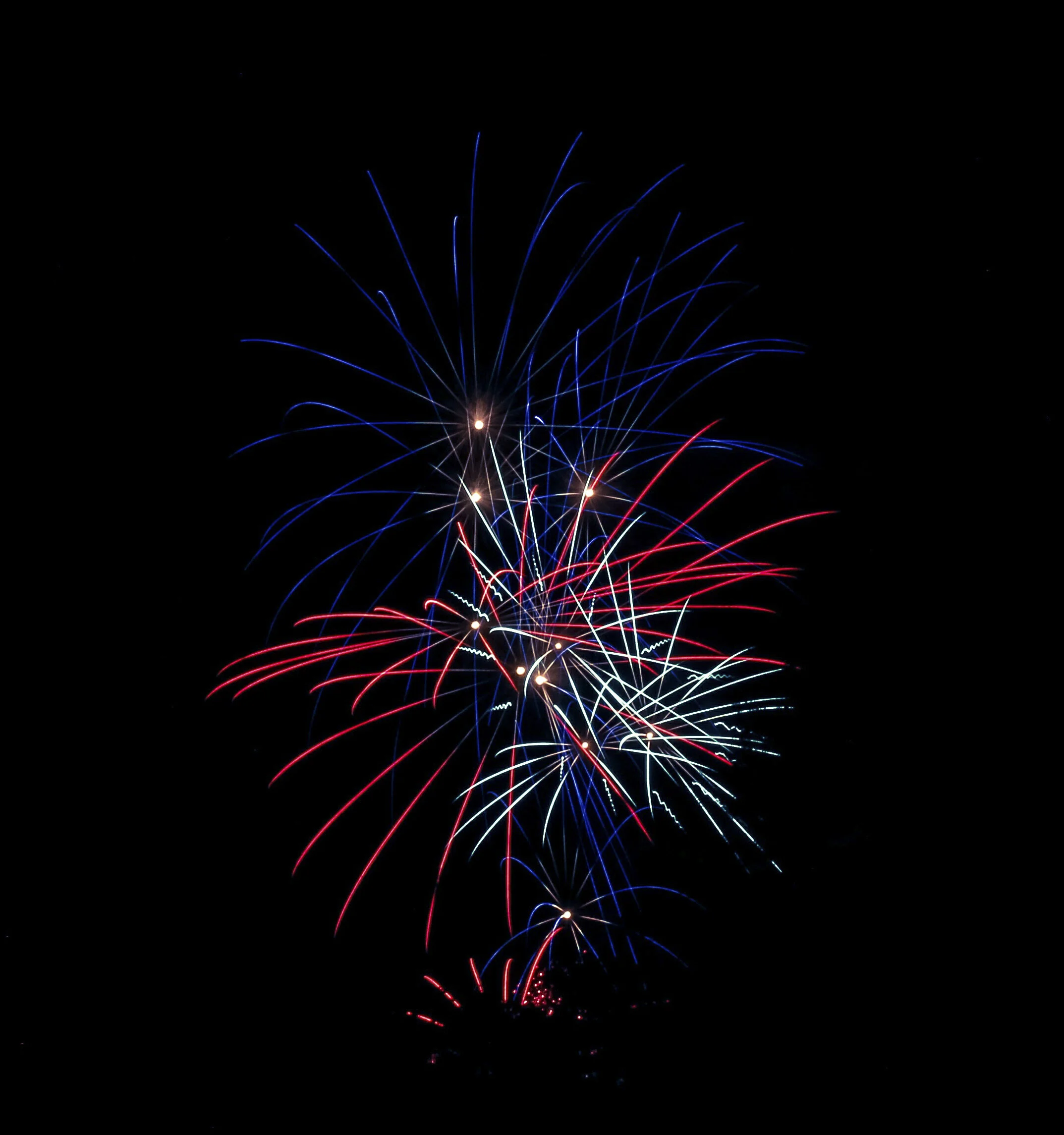 Fireworks bursting with streaks of red, white, and blue against a black night sky.