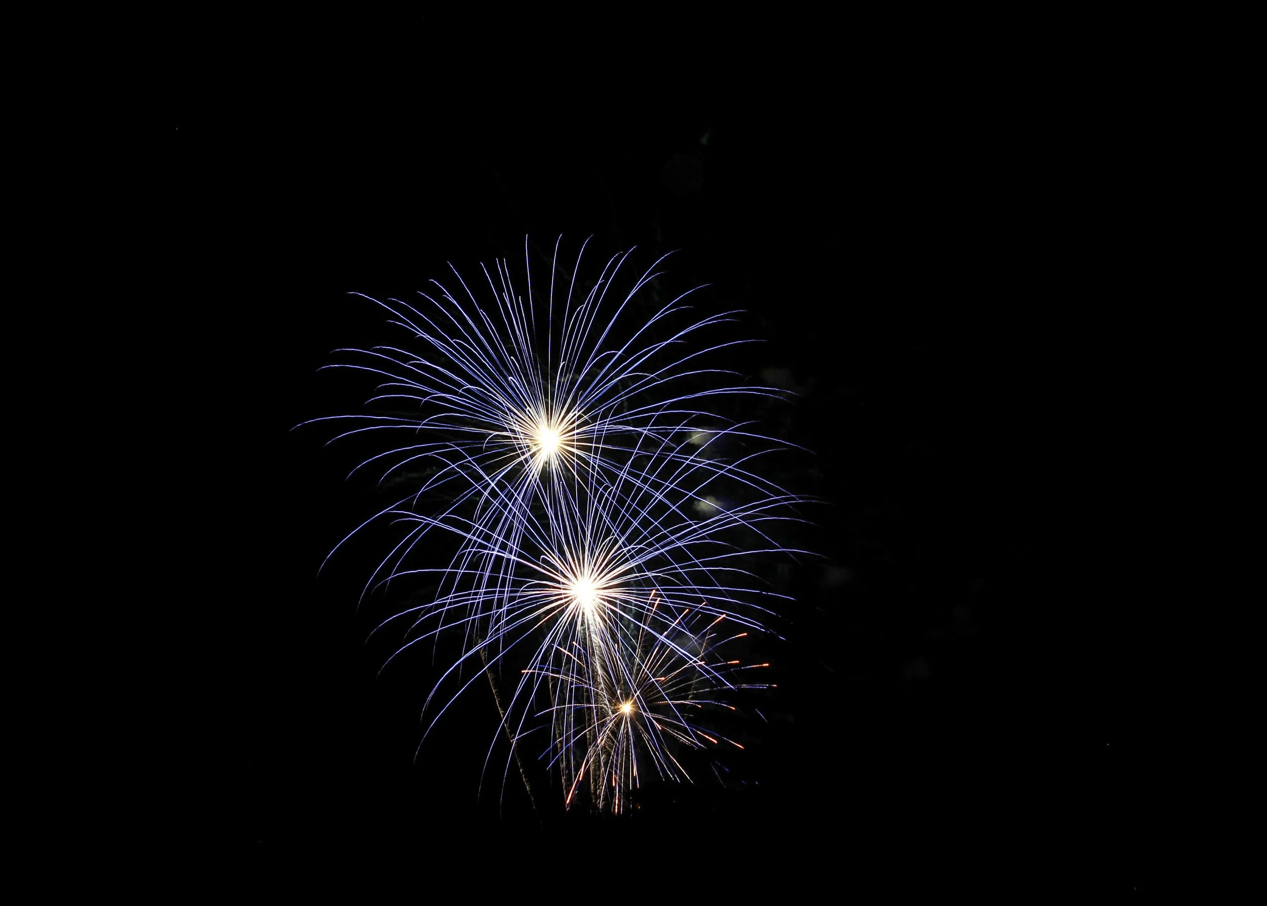 Fireworks exploding in the night sky with blue and white streaks radiating outward from bright centers.