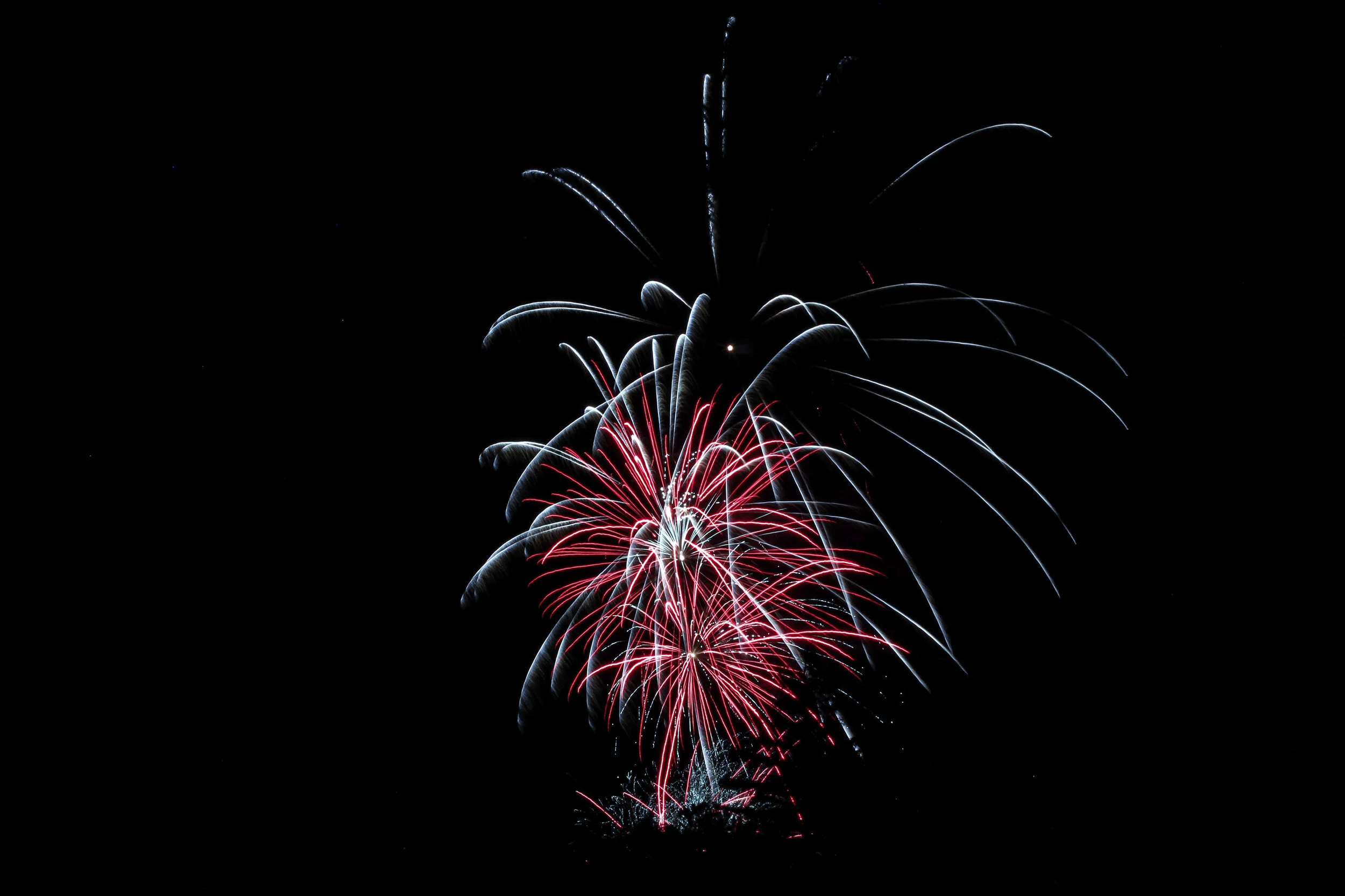 Colorful fireworks exploding in the dark night sky with red, white, and blue streaks.