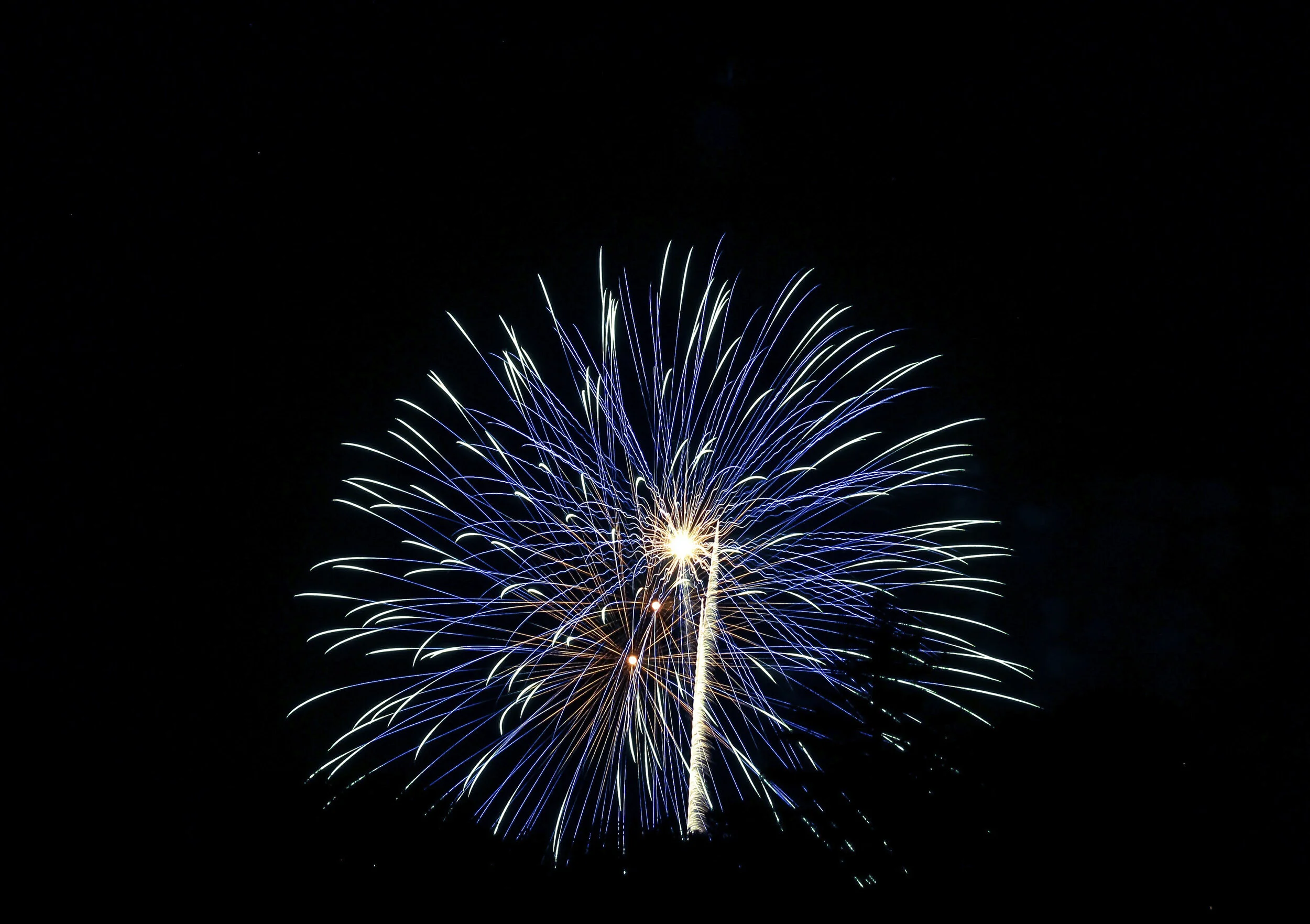 Fireworks exploding in the night sky with streaks of blue, white, and purple lighting up the darkness.