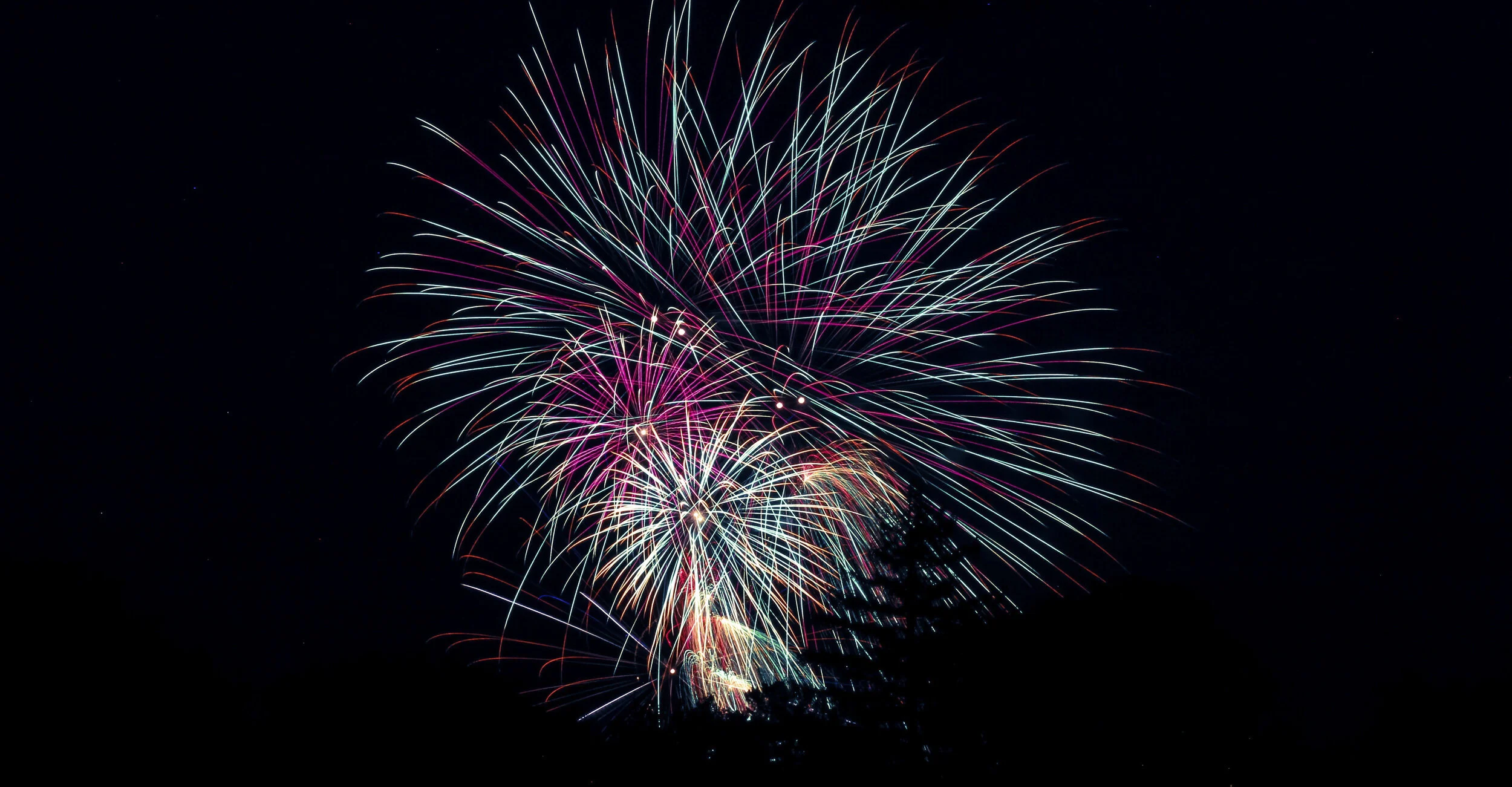 Colorful fireworks exploding in the night sky with streaks of pink, blue, purple, and white.