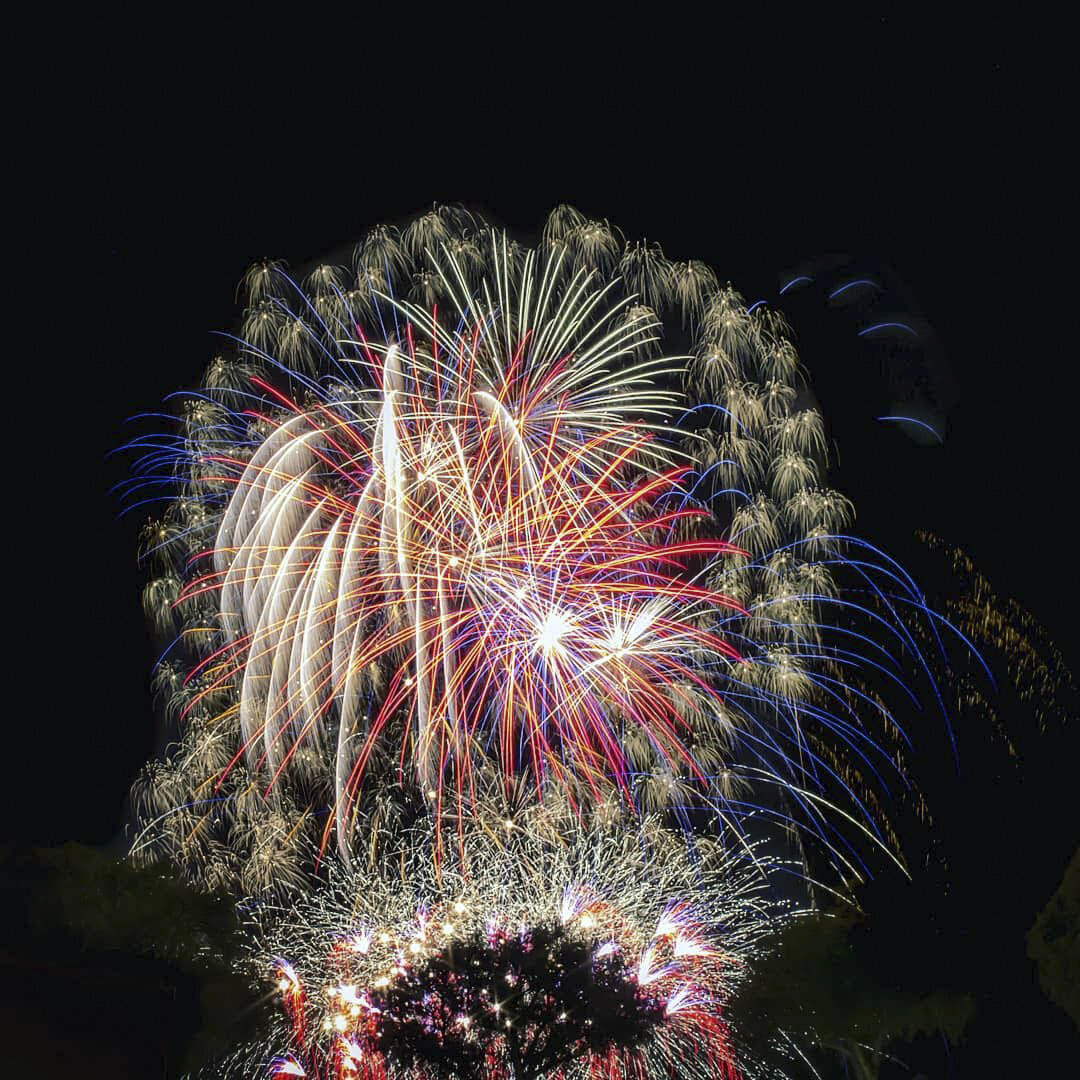 Colorful fireworks exploding in the night sky with a silhouette of trees at the bottom.