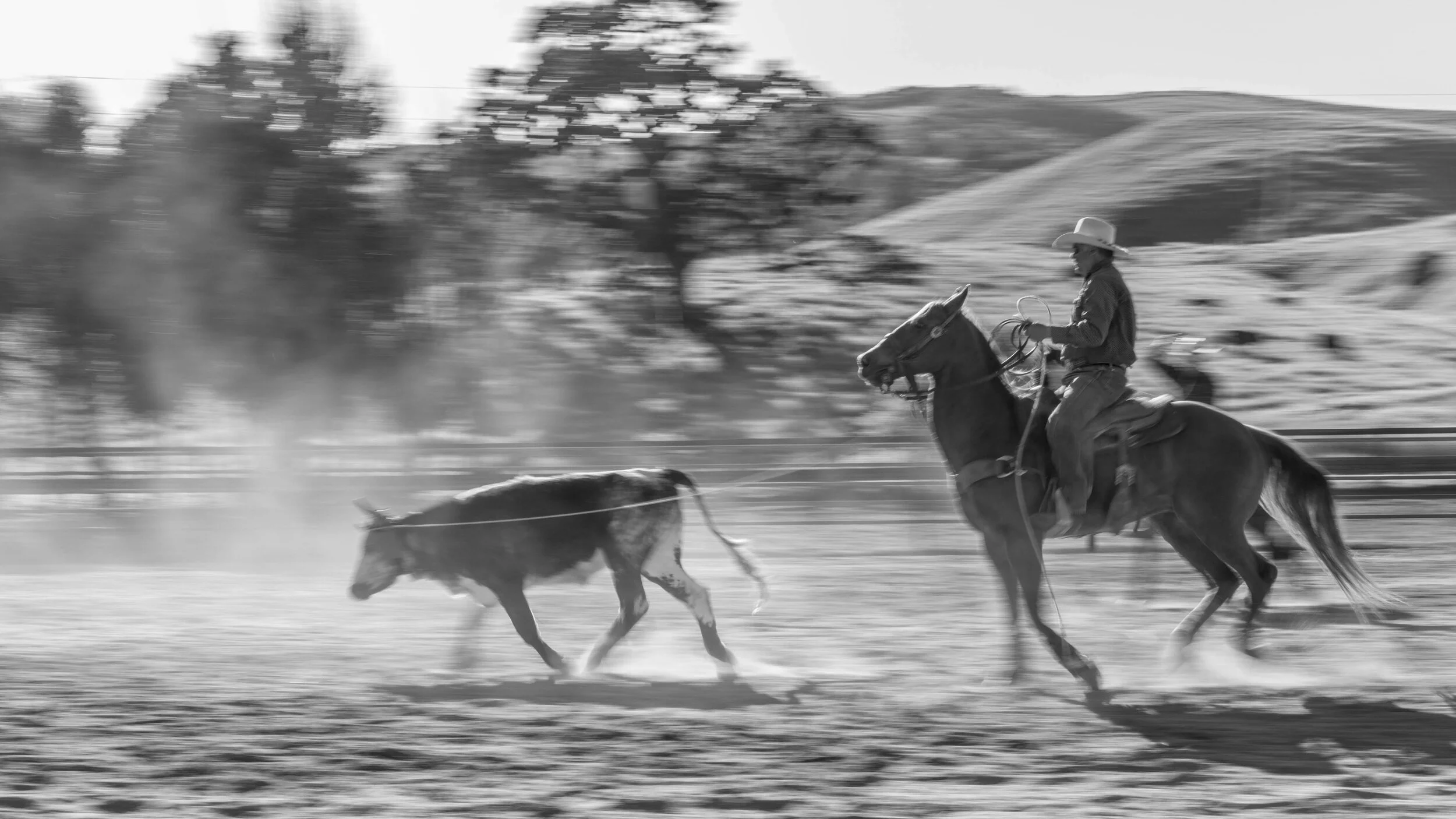 A person riding a horse at full gallop, herding two dogs across a rural landscape with rolling hills and sparse trees in the background; black and white photo.