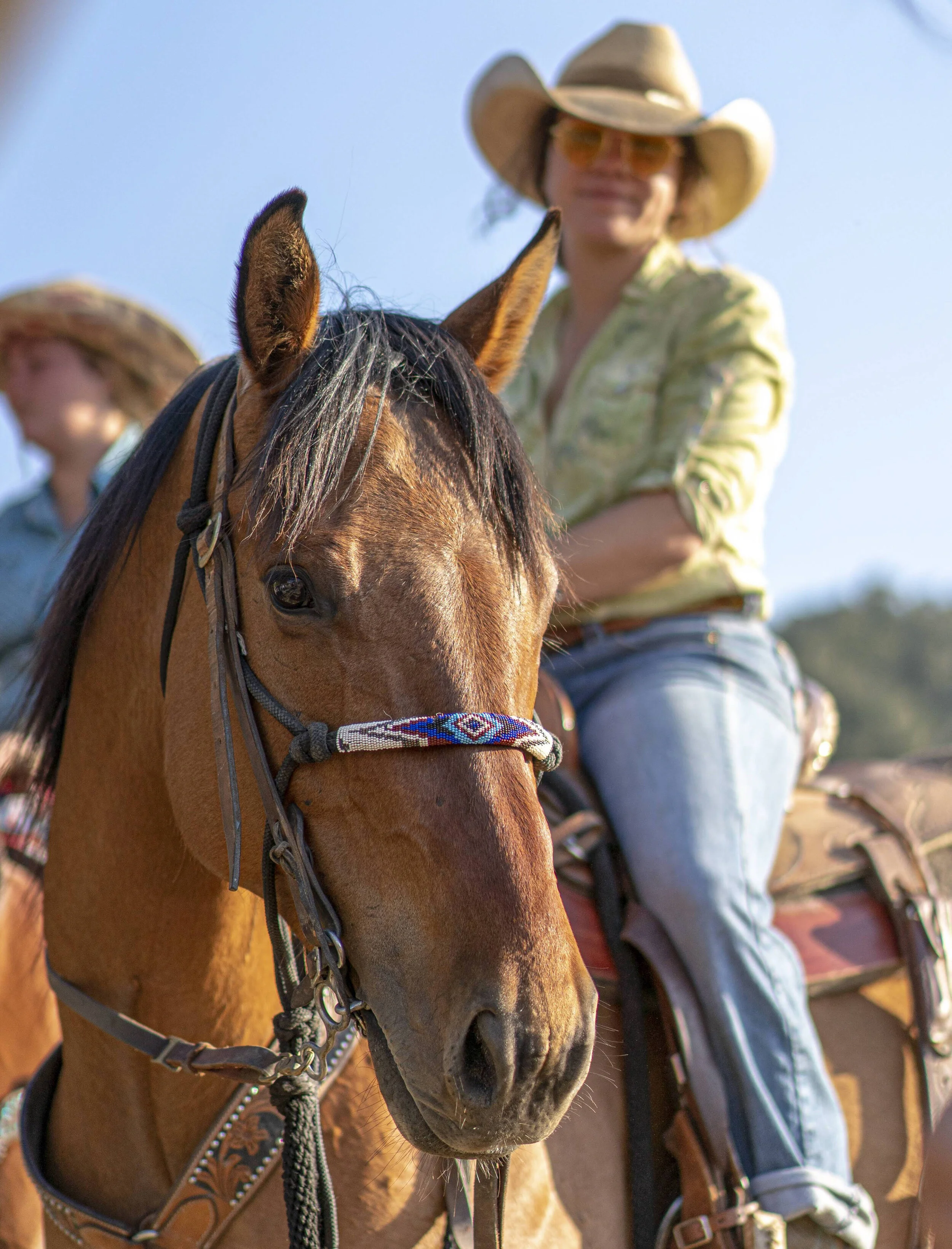 Close-up of a brown horse with a decorative bridle, a woman wearing a large cowboy hat, sunglasses, and a green plaid shirt riding the horse, with other riders visible in the background against a clear blue sky.