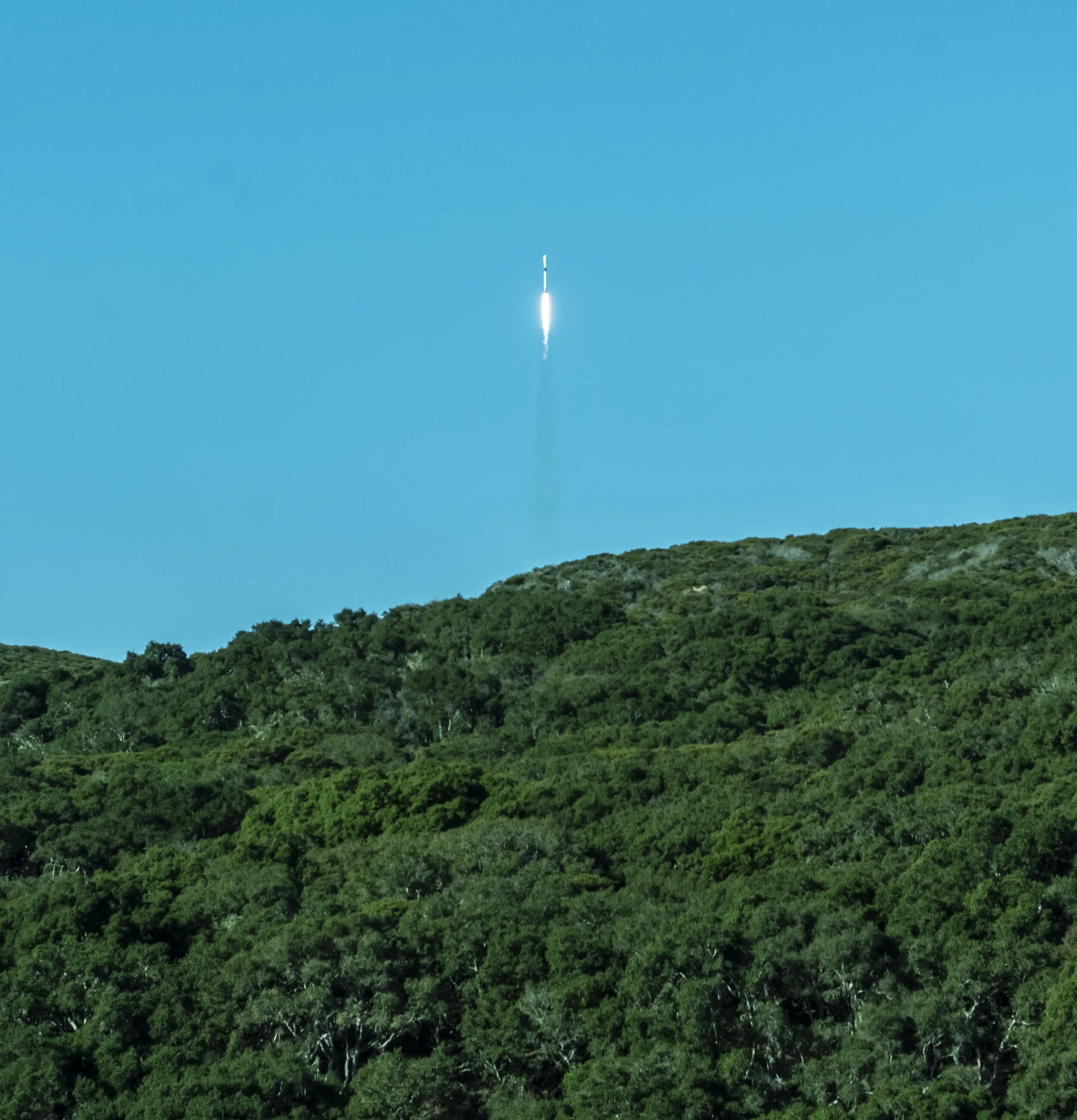 A rocket is launching into a clear blue sky above a green forested hillside.